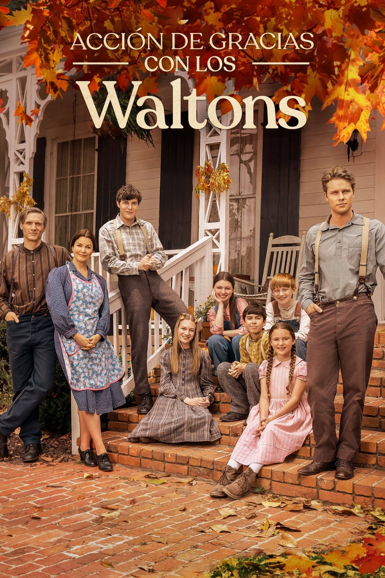 Películas Acción de gracias con los Waltons