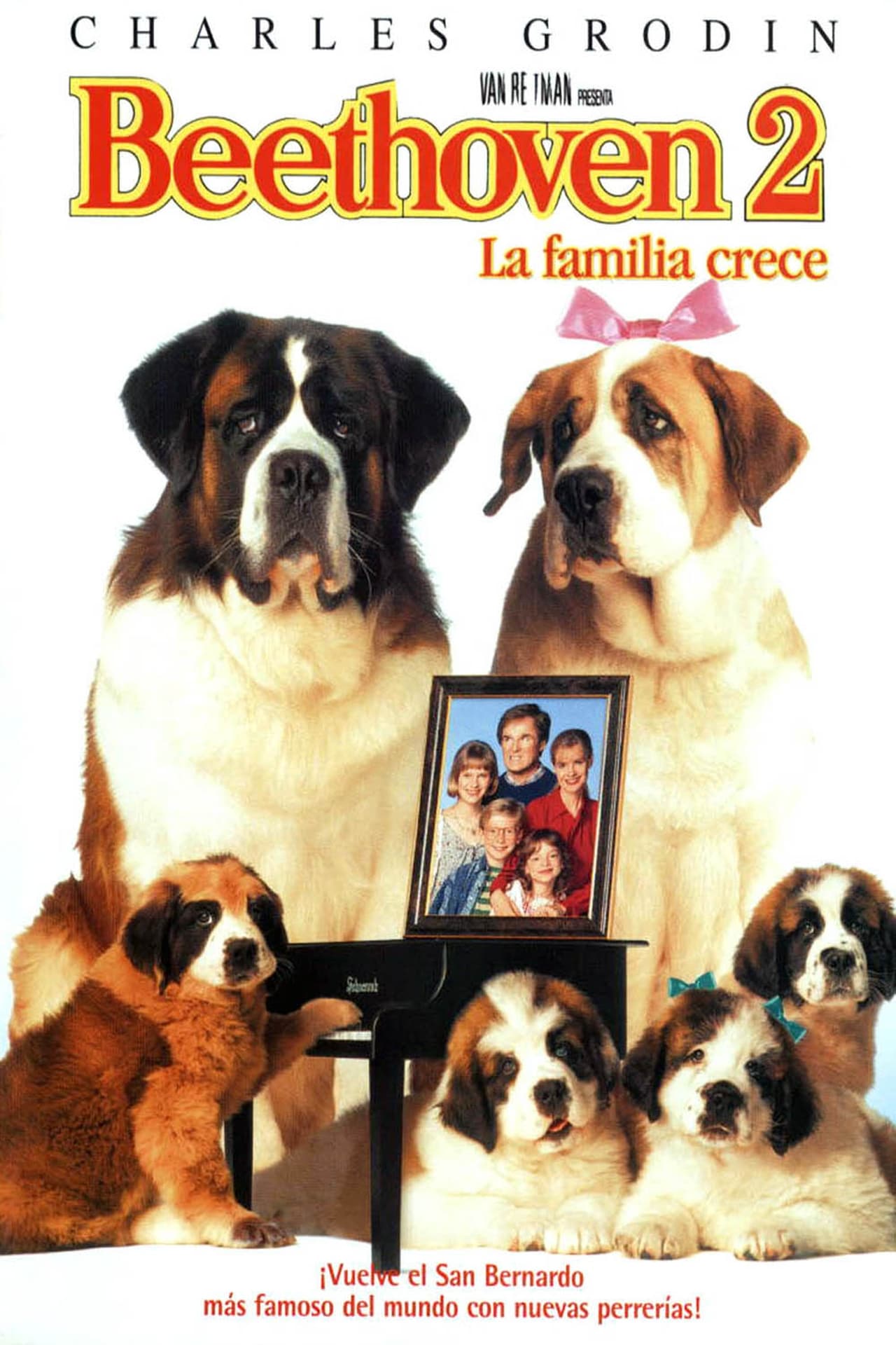 Movies Beethoven 2: La familia crece