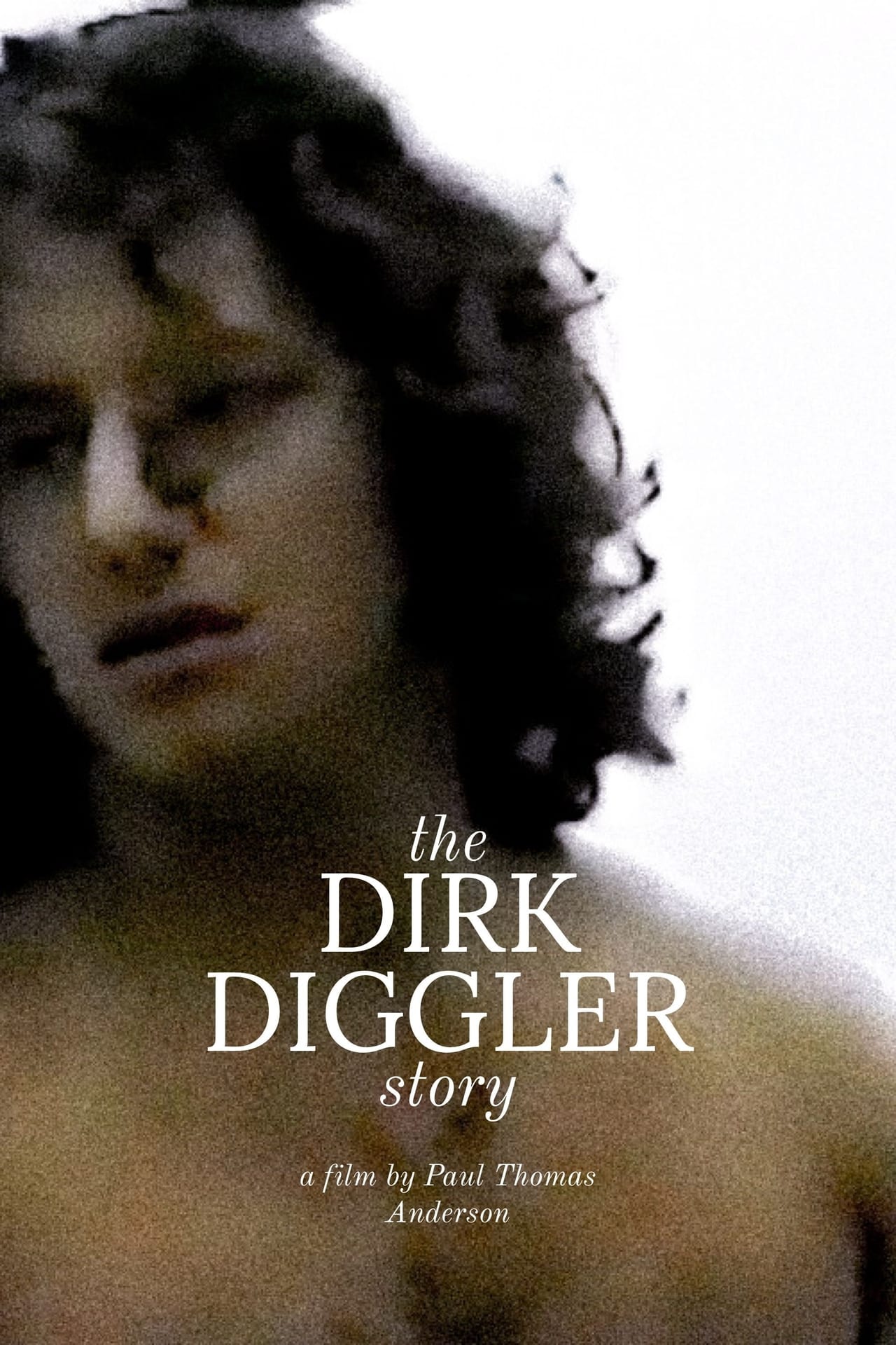 Películas The Dirk Diggler Story