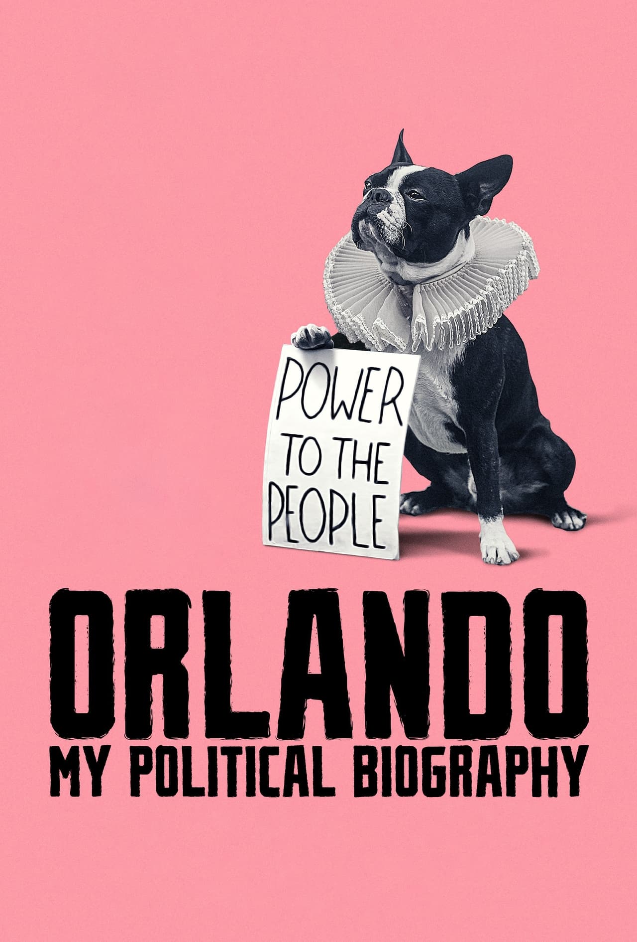 Película Orlando, mi biografía política