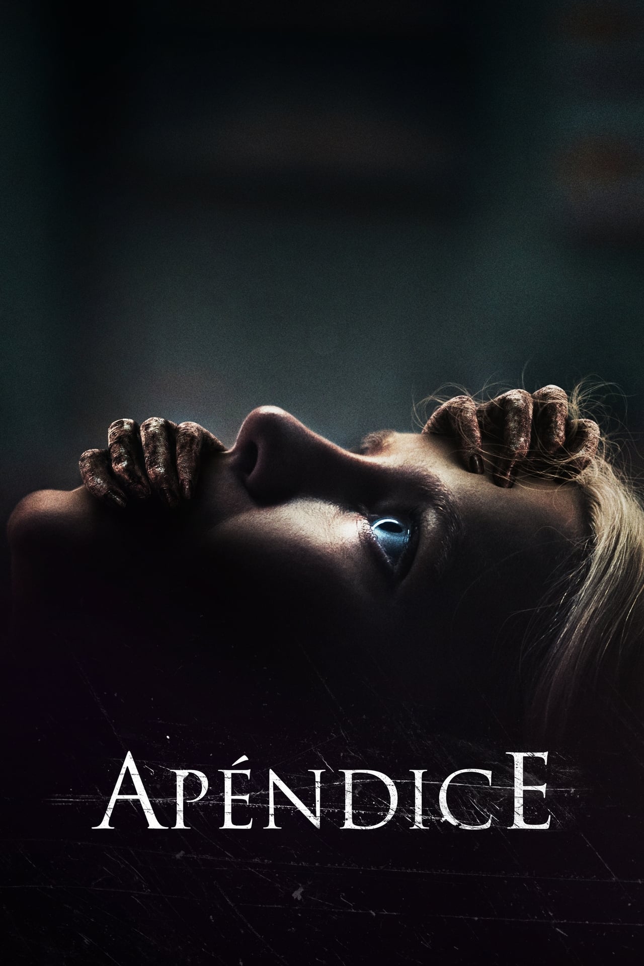 Movie Apéndice