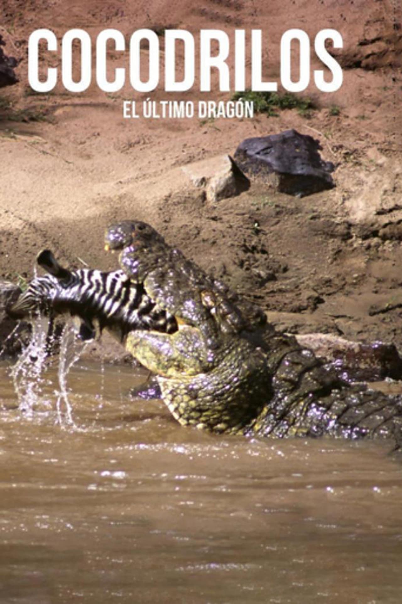 Movie Cocodrilos, el último dragón