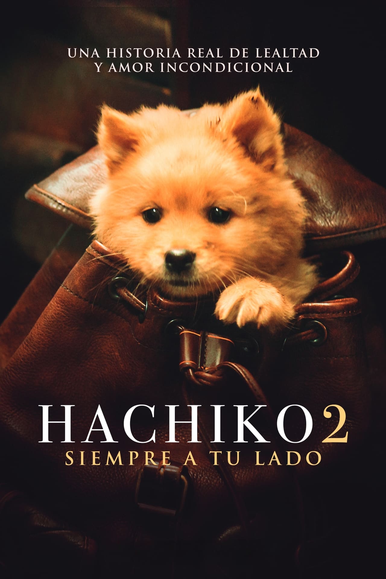 Película Hachiko