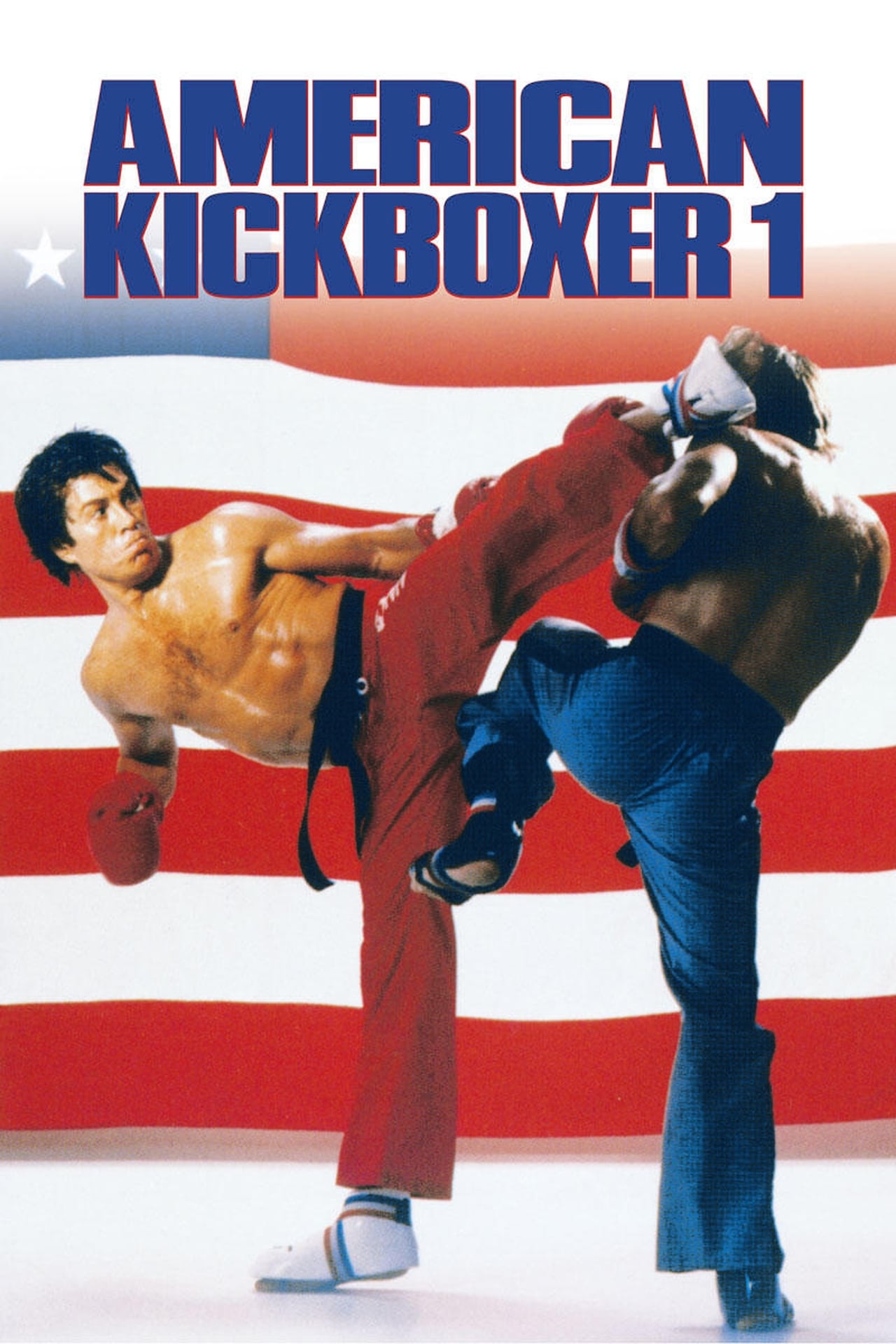 Películas American Kickboxer