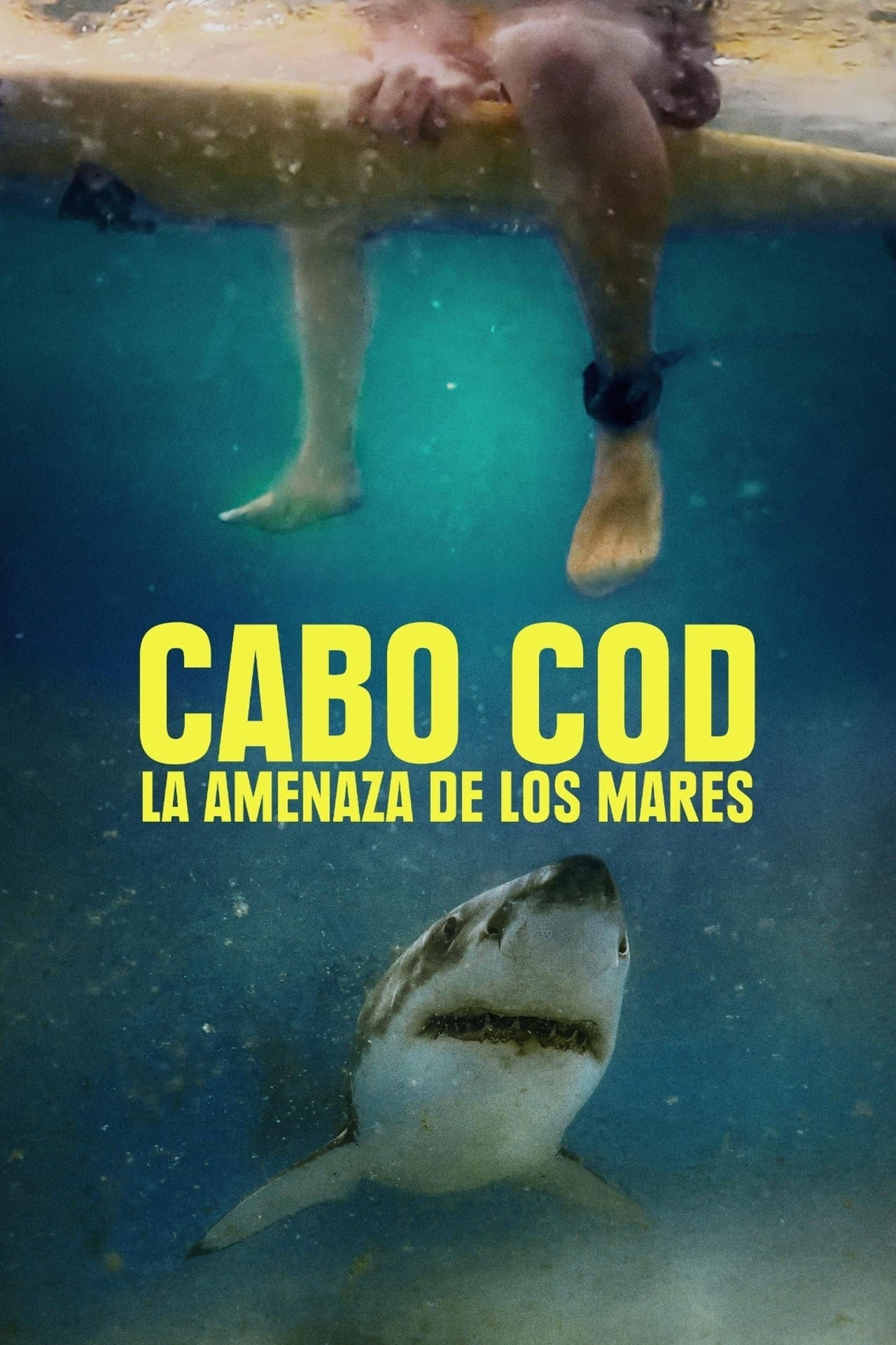 Movie After the Bite