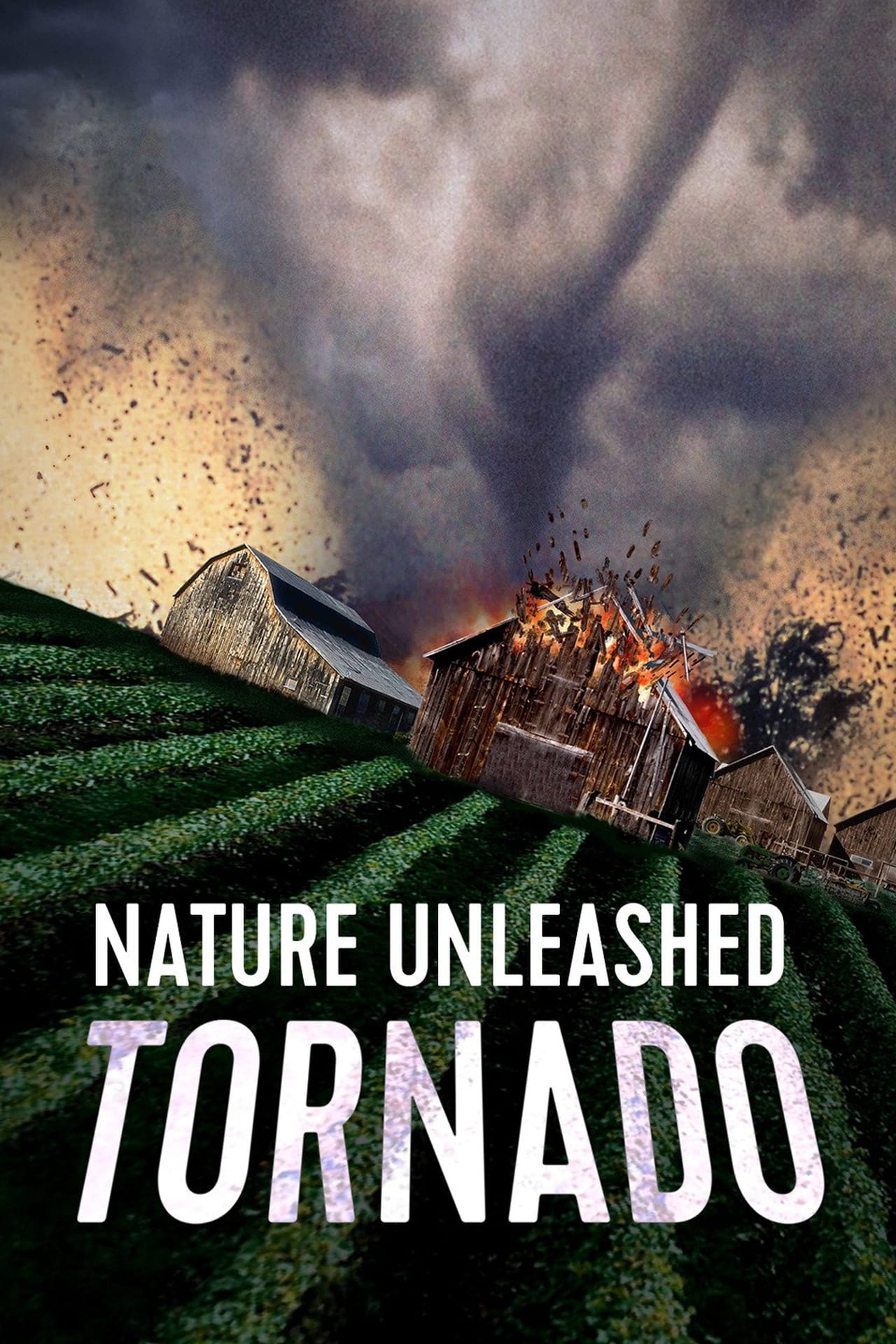 Movies Nature Unleashed: Tornado