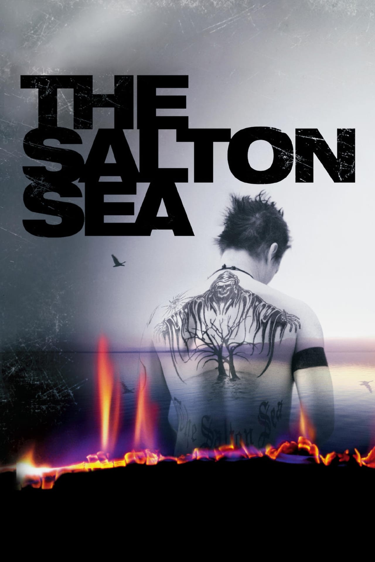 Películas The Salton Sea