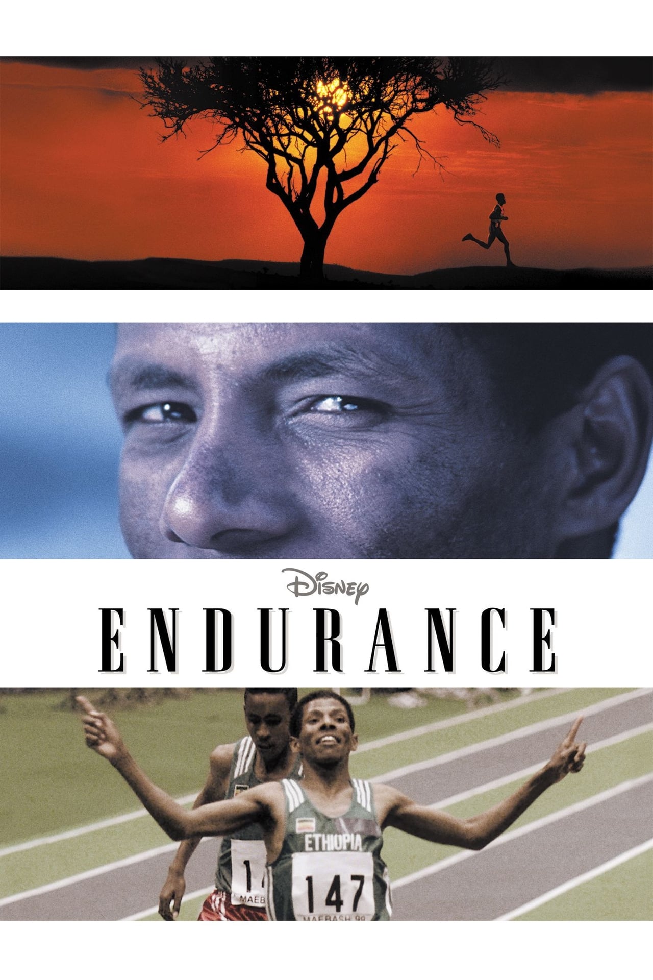 Película Endurance