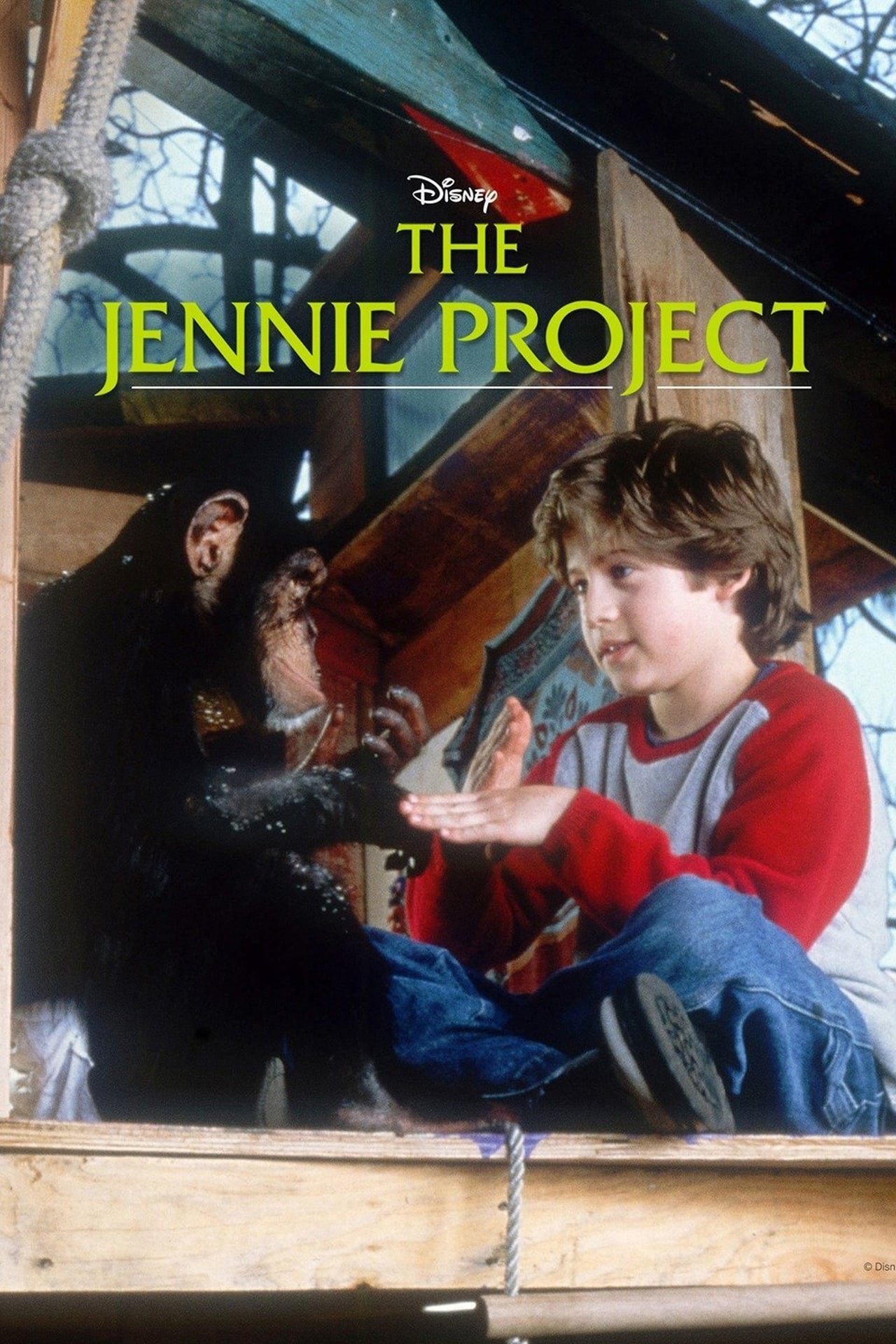 Movies The Jennie Project