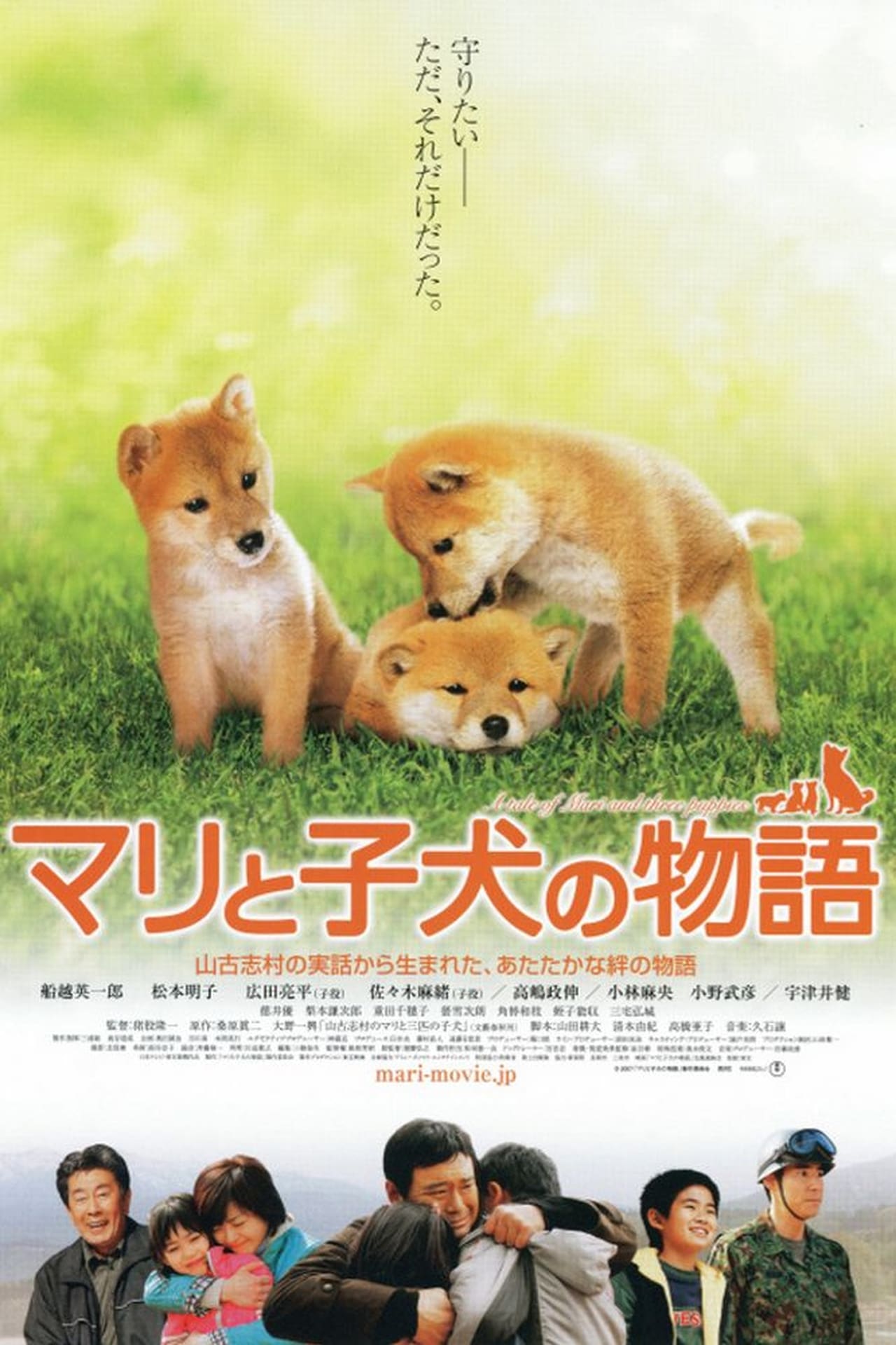 Movie マリと子犬の物語