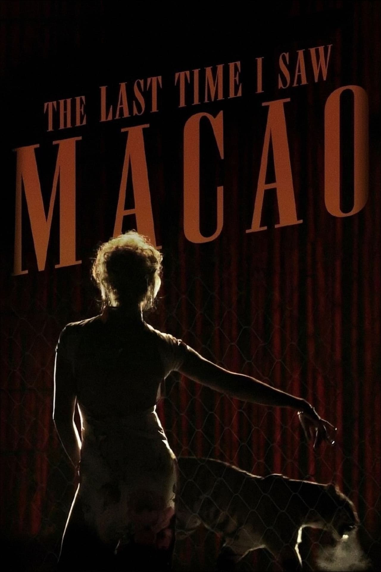 Movies A Última Vez Que Vi Macau