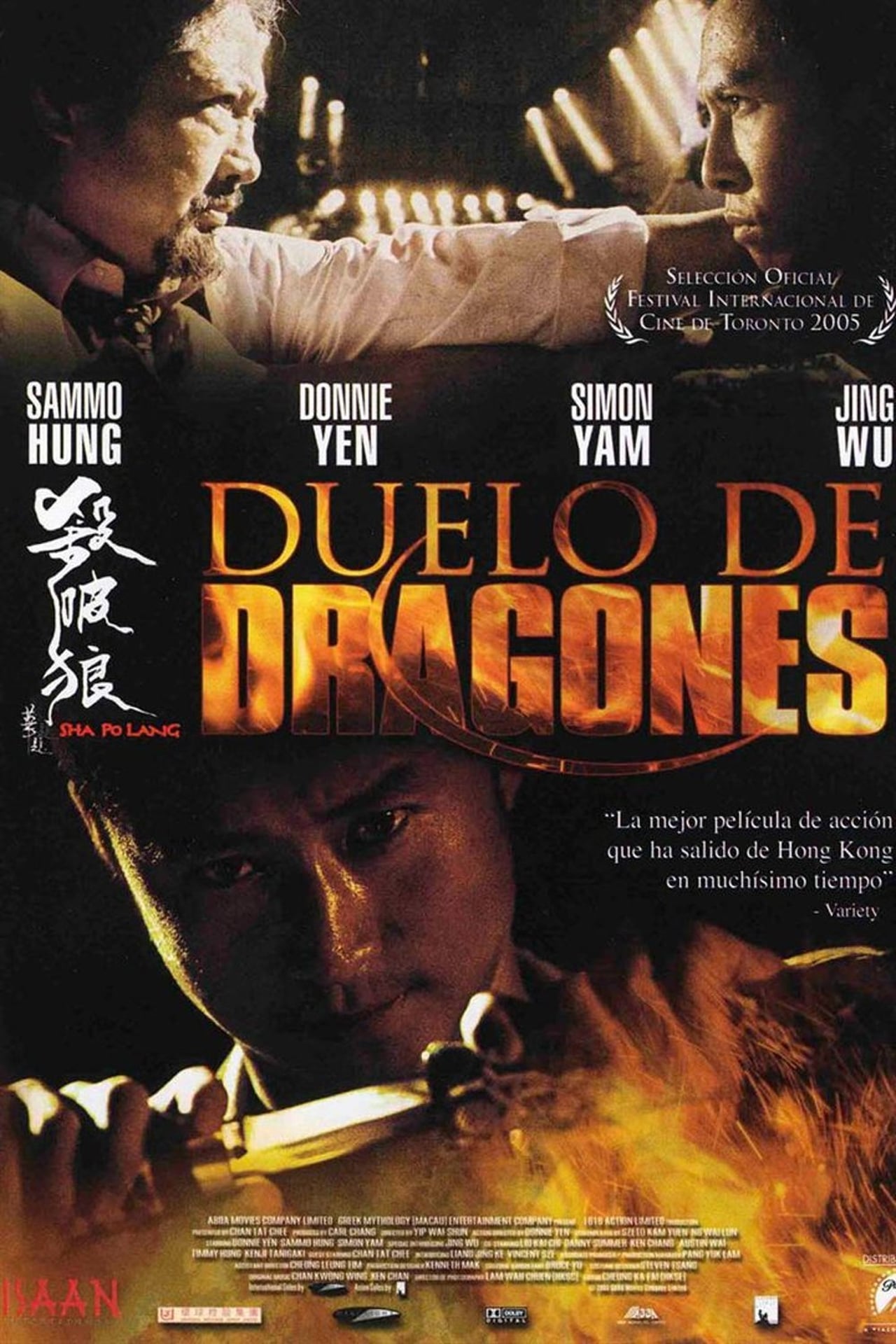 Películas Duelo de dragones