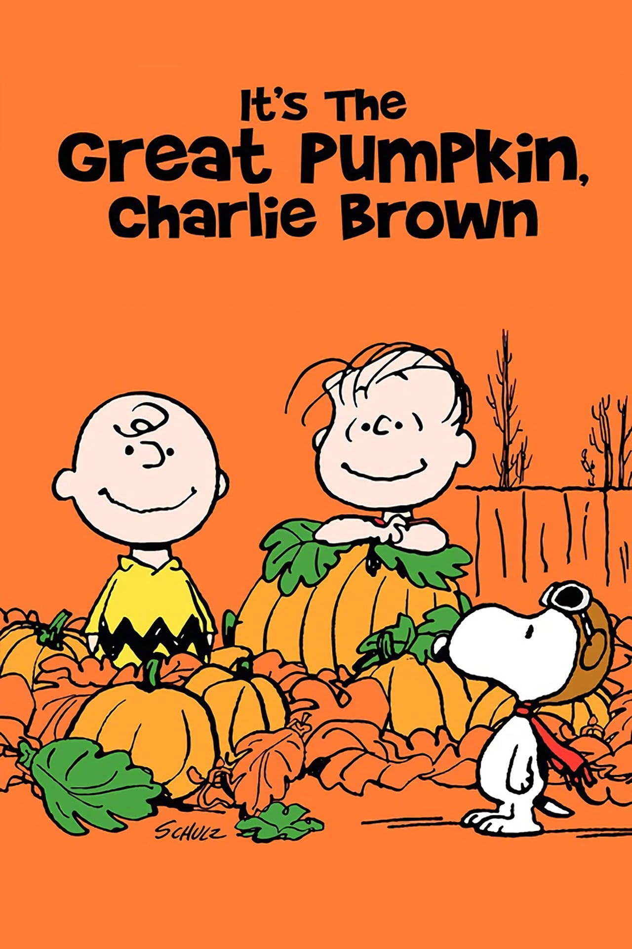 Movie Ésta es la gran calabaza, Charlie Brown