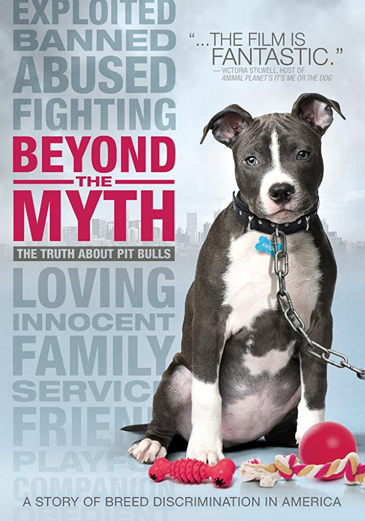 Movies Beyond the Myth A Film About Pit Bulls and Breed Discrimination