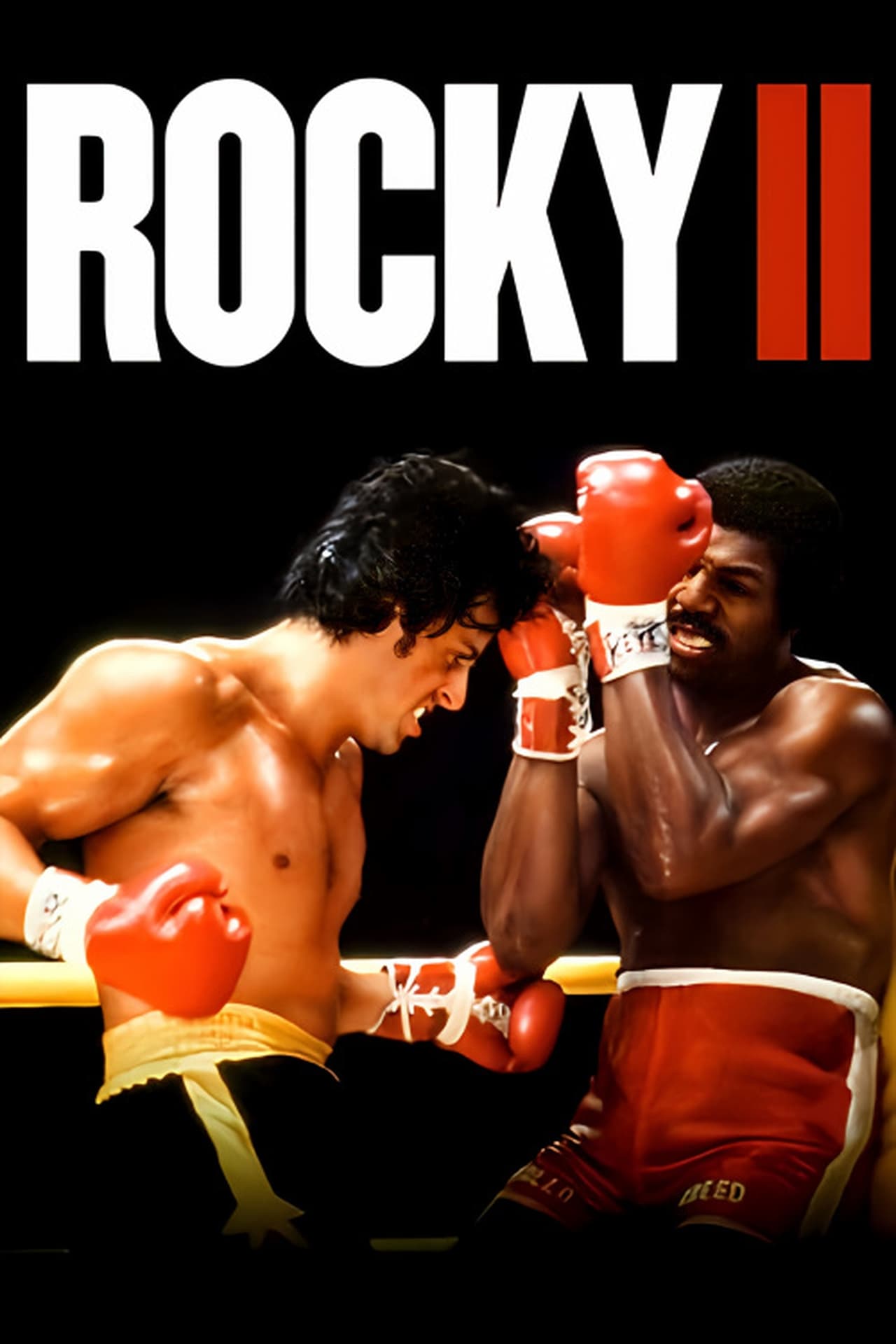 Película Rocky II