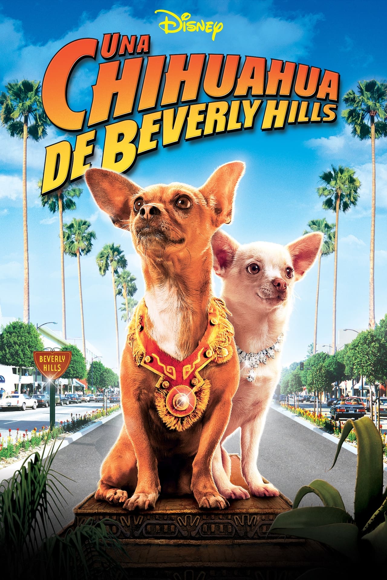 Película Un chihuahua en Beverly Hills