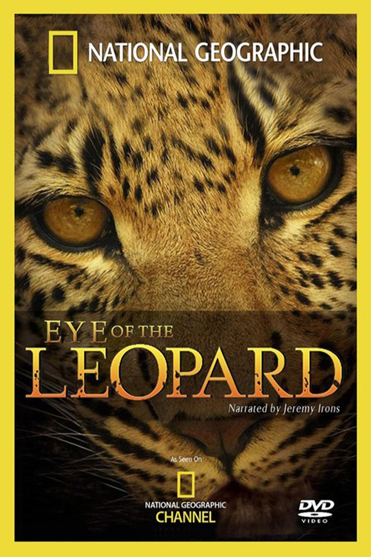 Movies El Ojo Del Leopardo