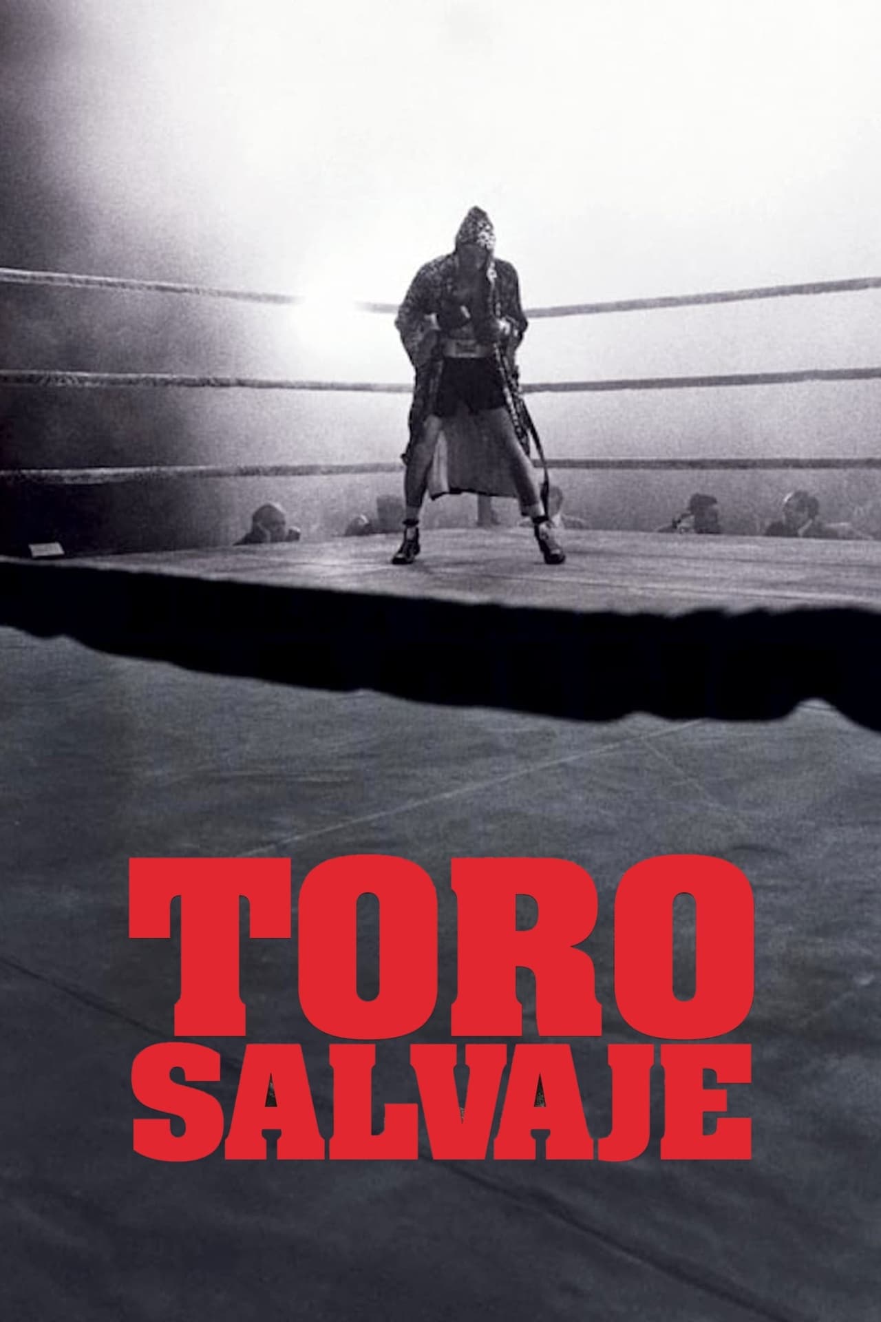 Película Toro salvaje