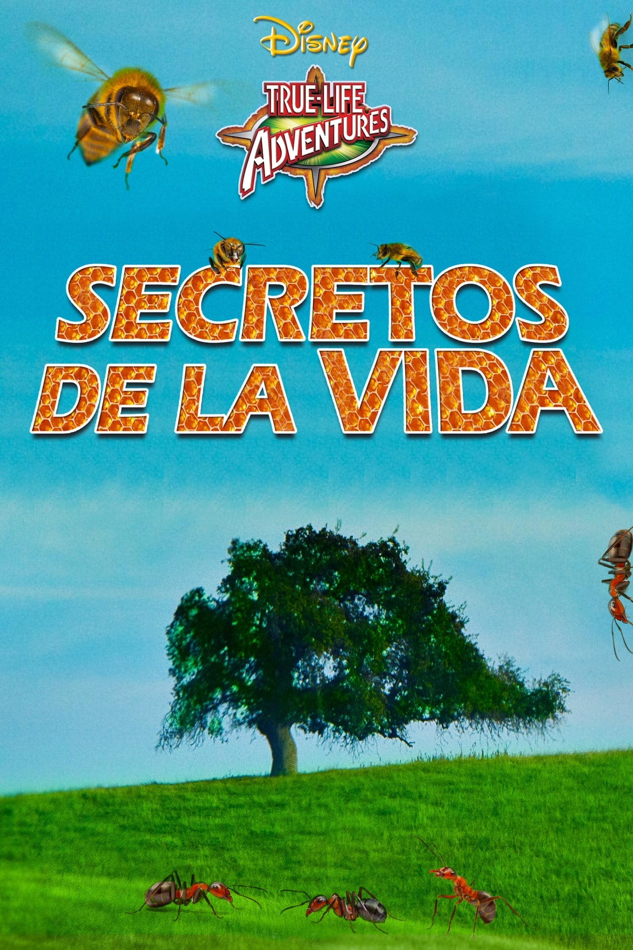 Película Secretos de la vida