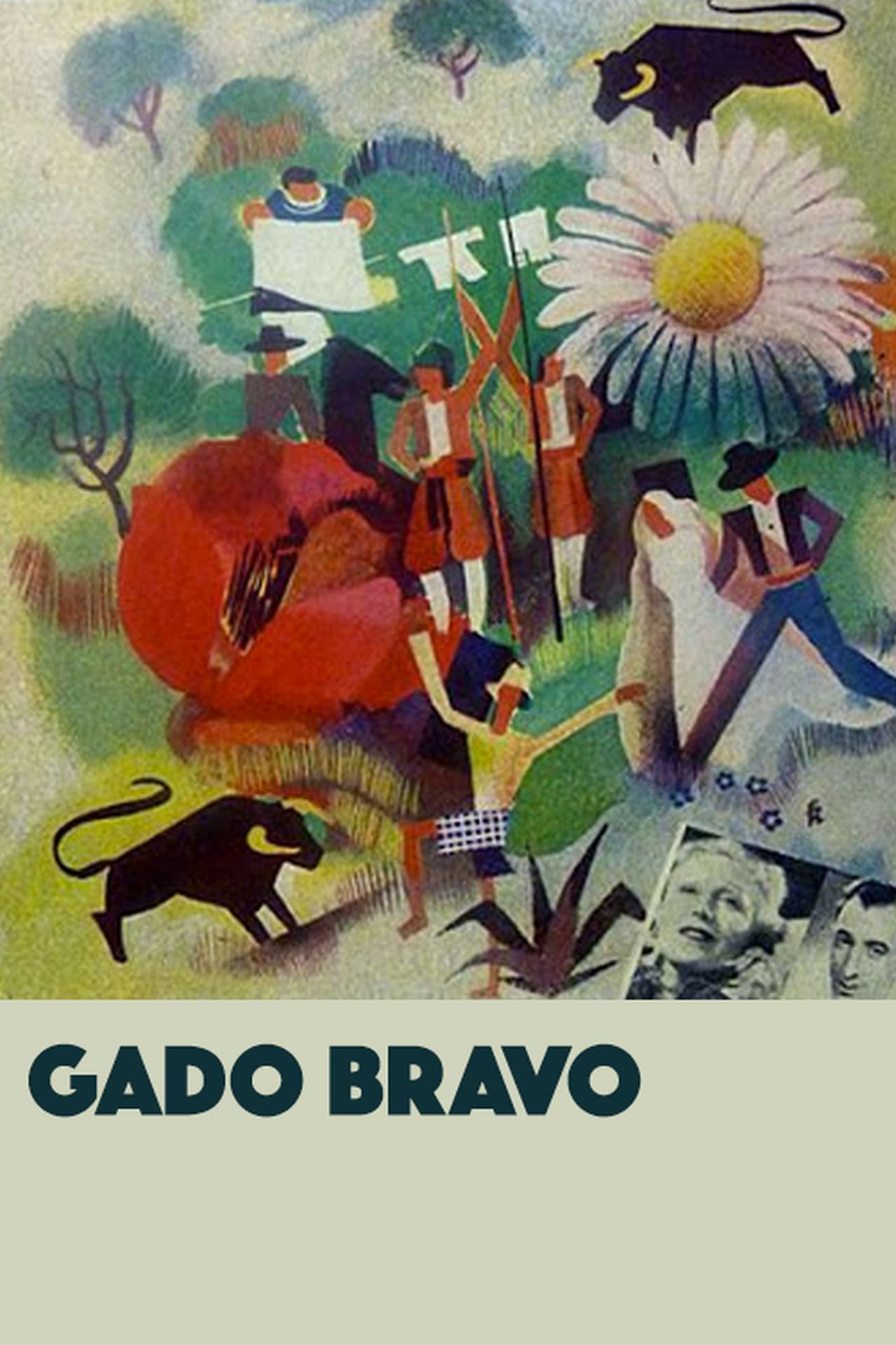 Película Gado Bravo