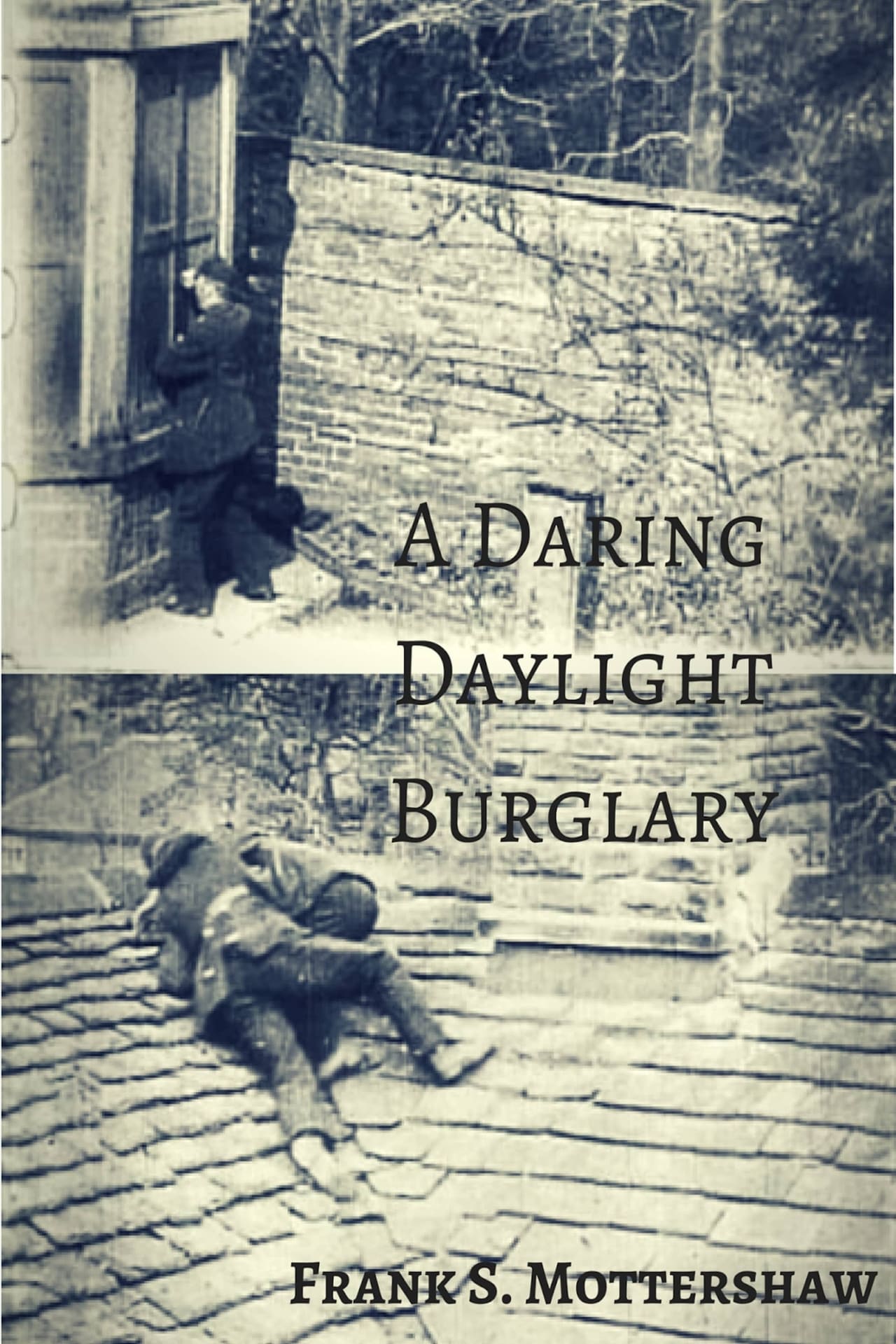 Movie A Daring Daylight Burglary