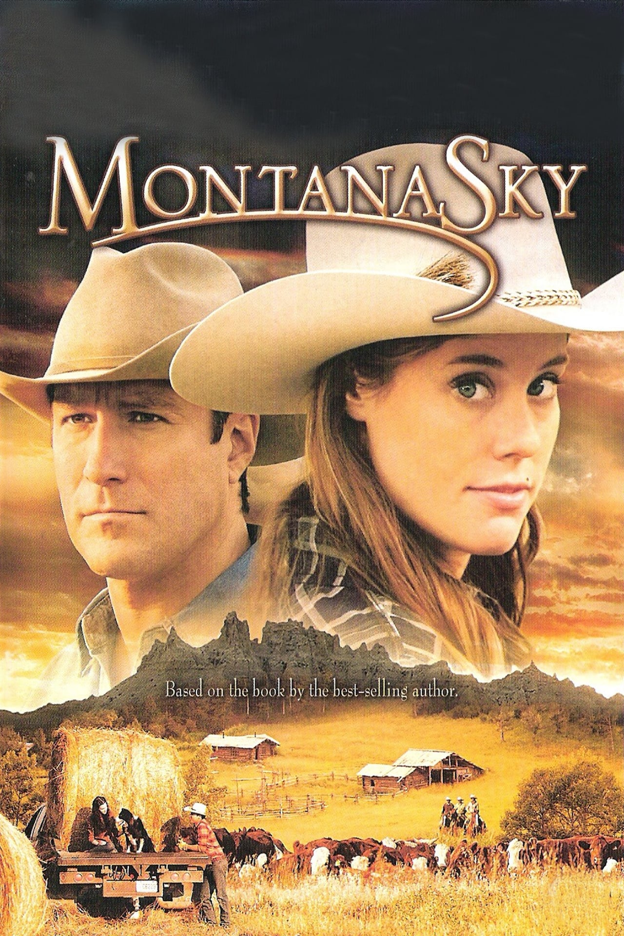 Película Valle de sombras (Montana Sky)