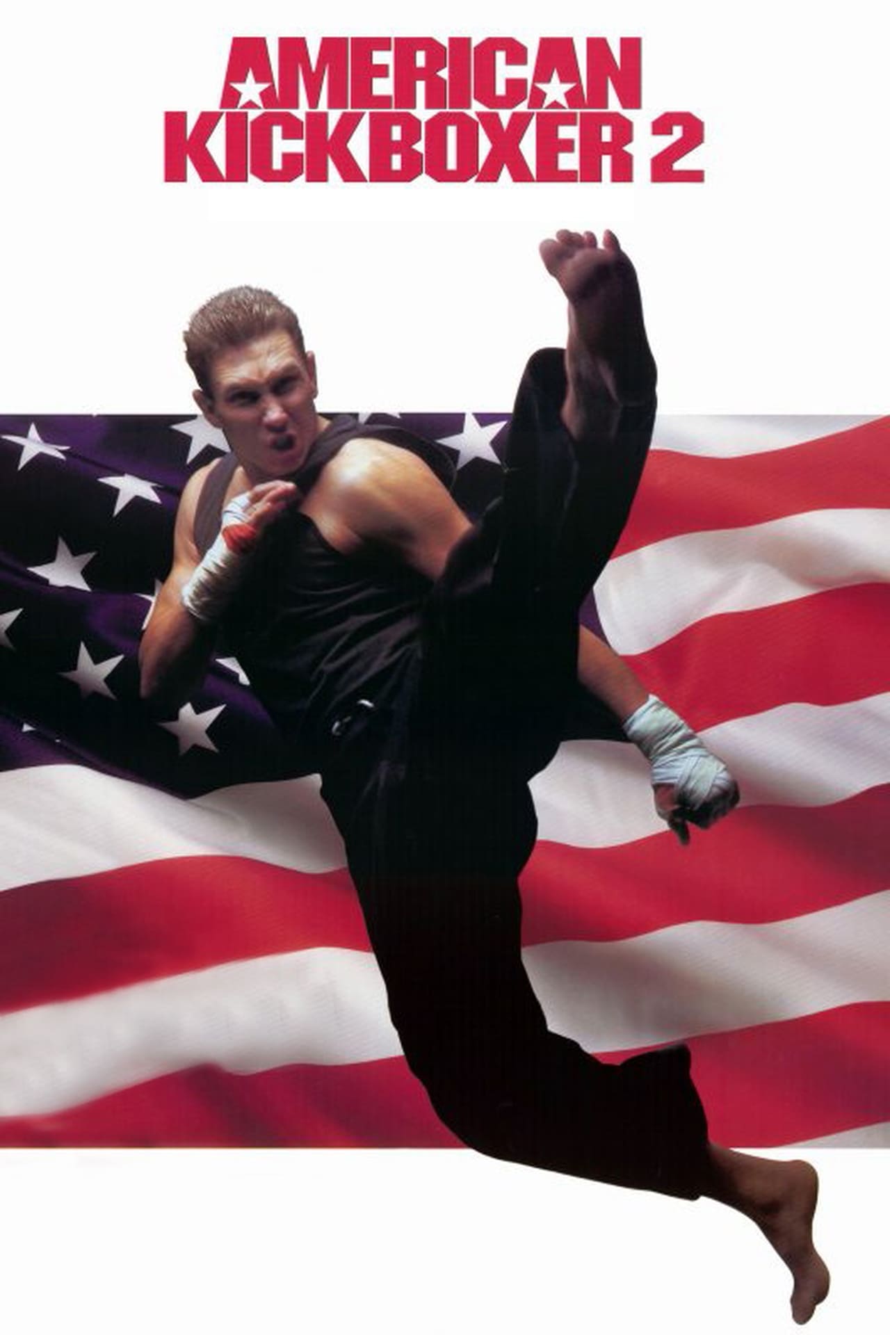 Movie American Kickboxer 2