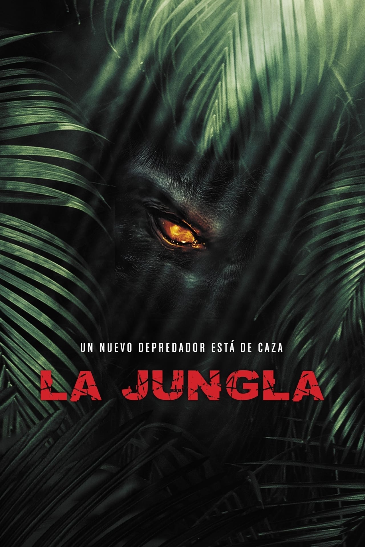 Películas La jungla