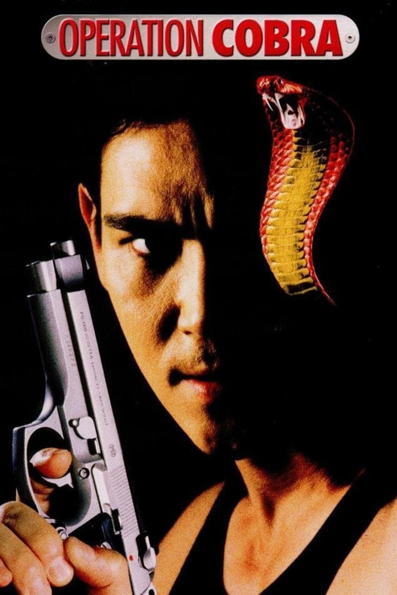 Películas El nido de la cobra