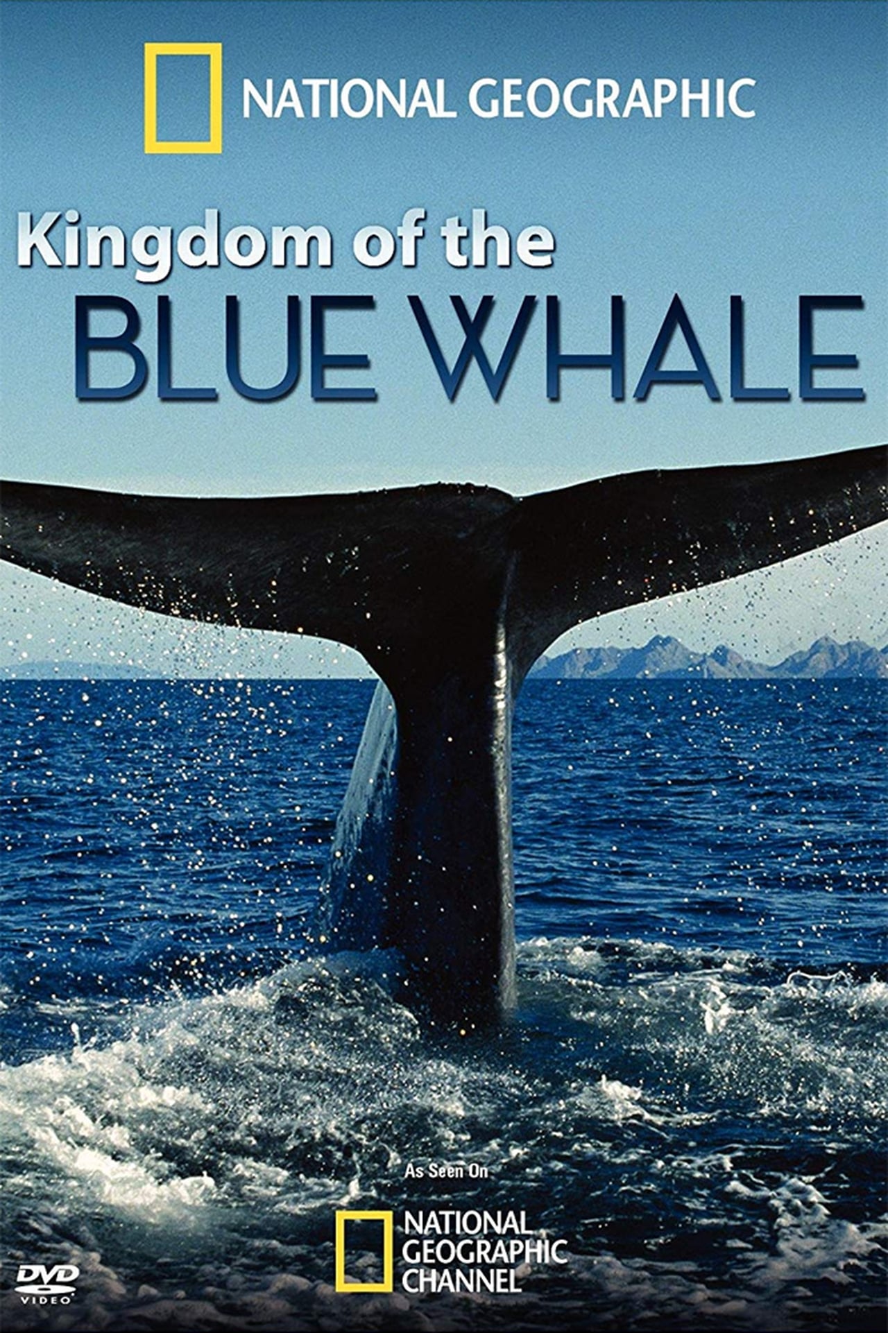 Película El Reino de la Ballena Azul