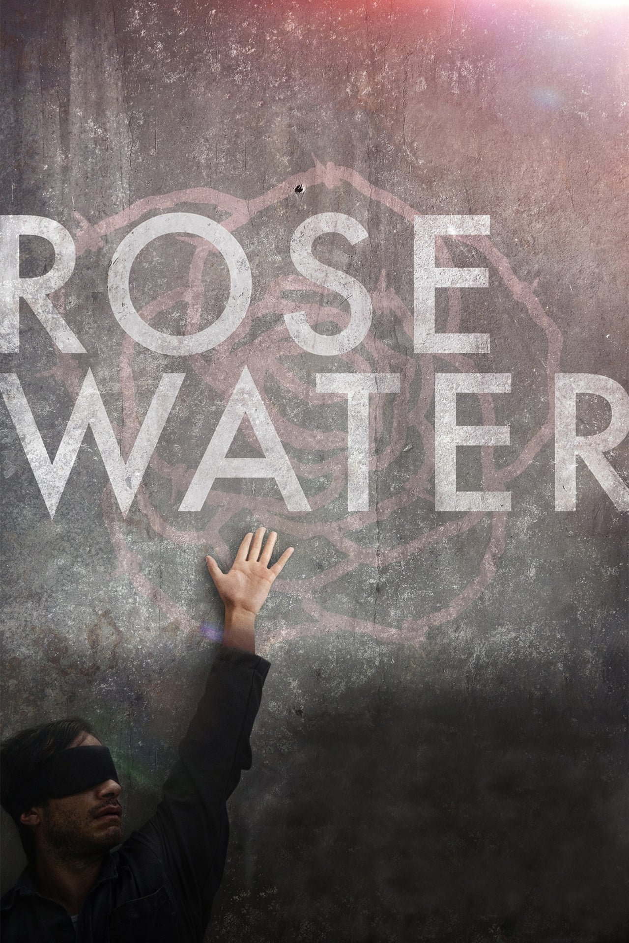 Película Rosewater