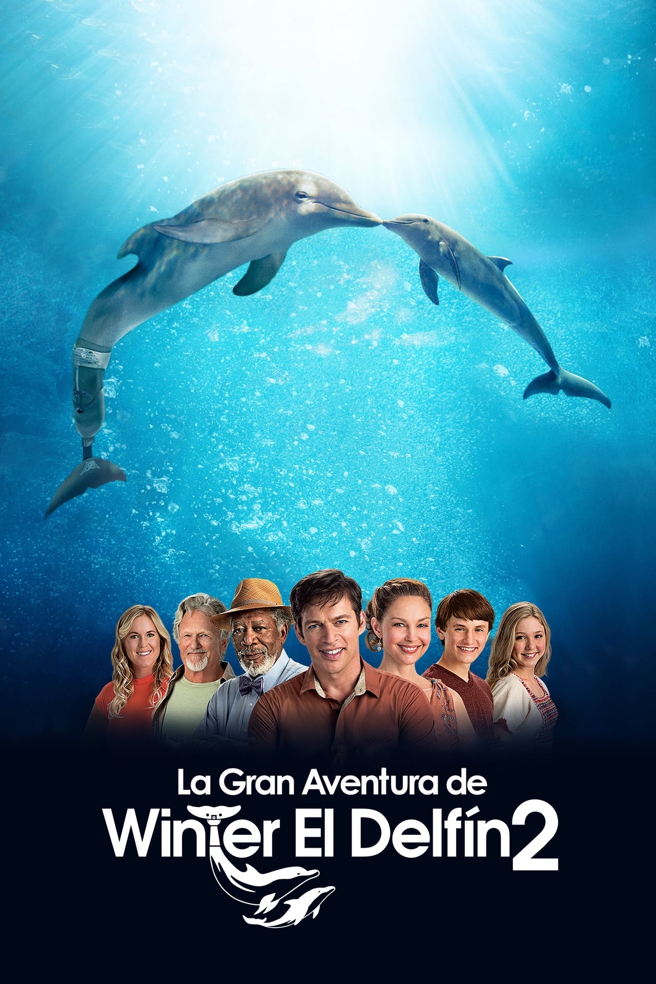 Película La gran aventura de Winter el delfín 2