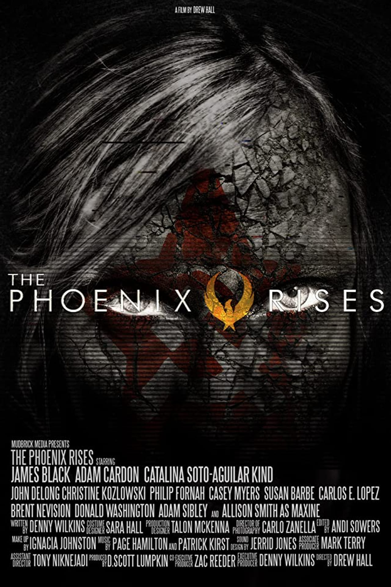 Películas The Phoenix Rises