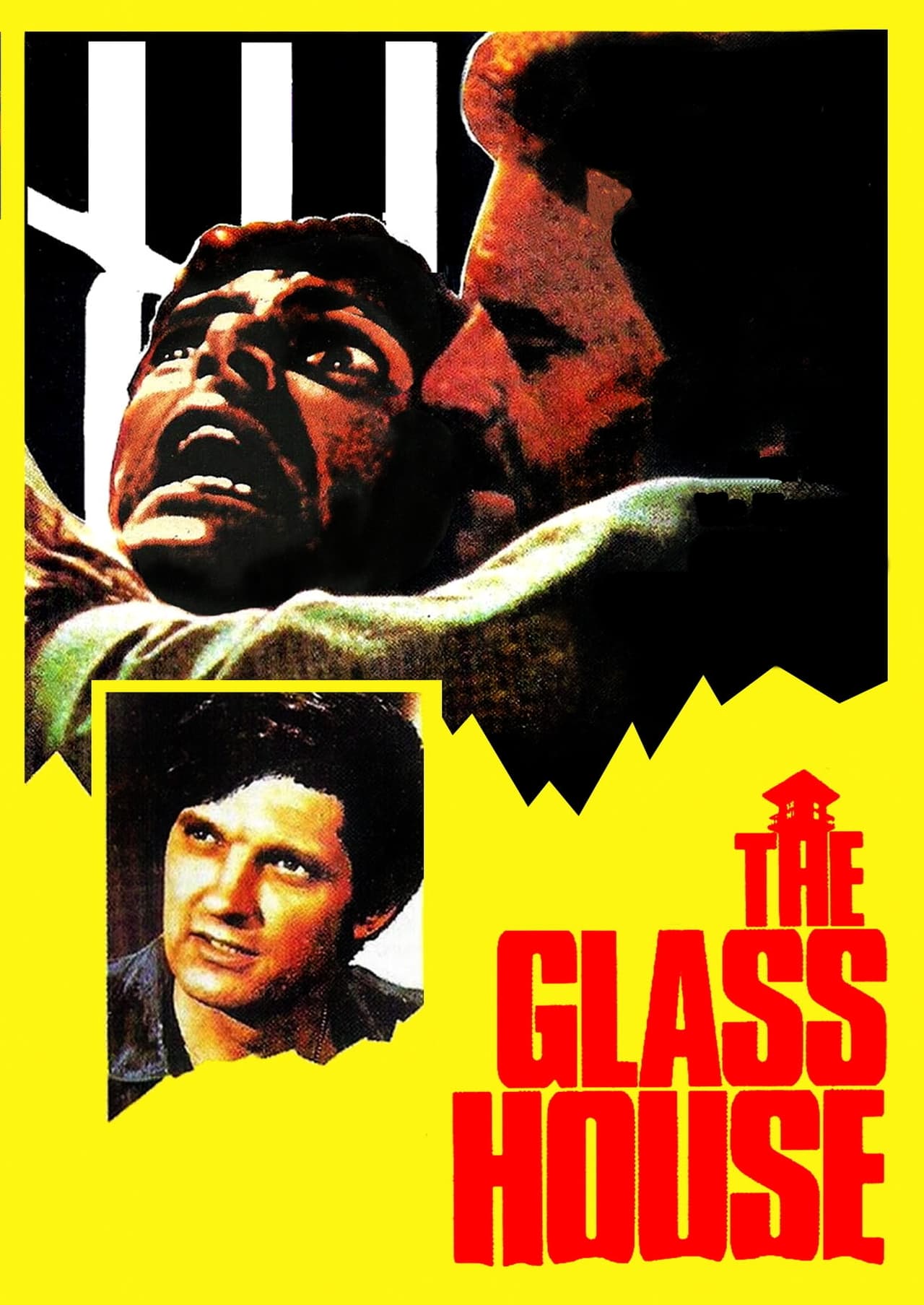 Movies The Glass House