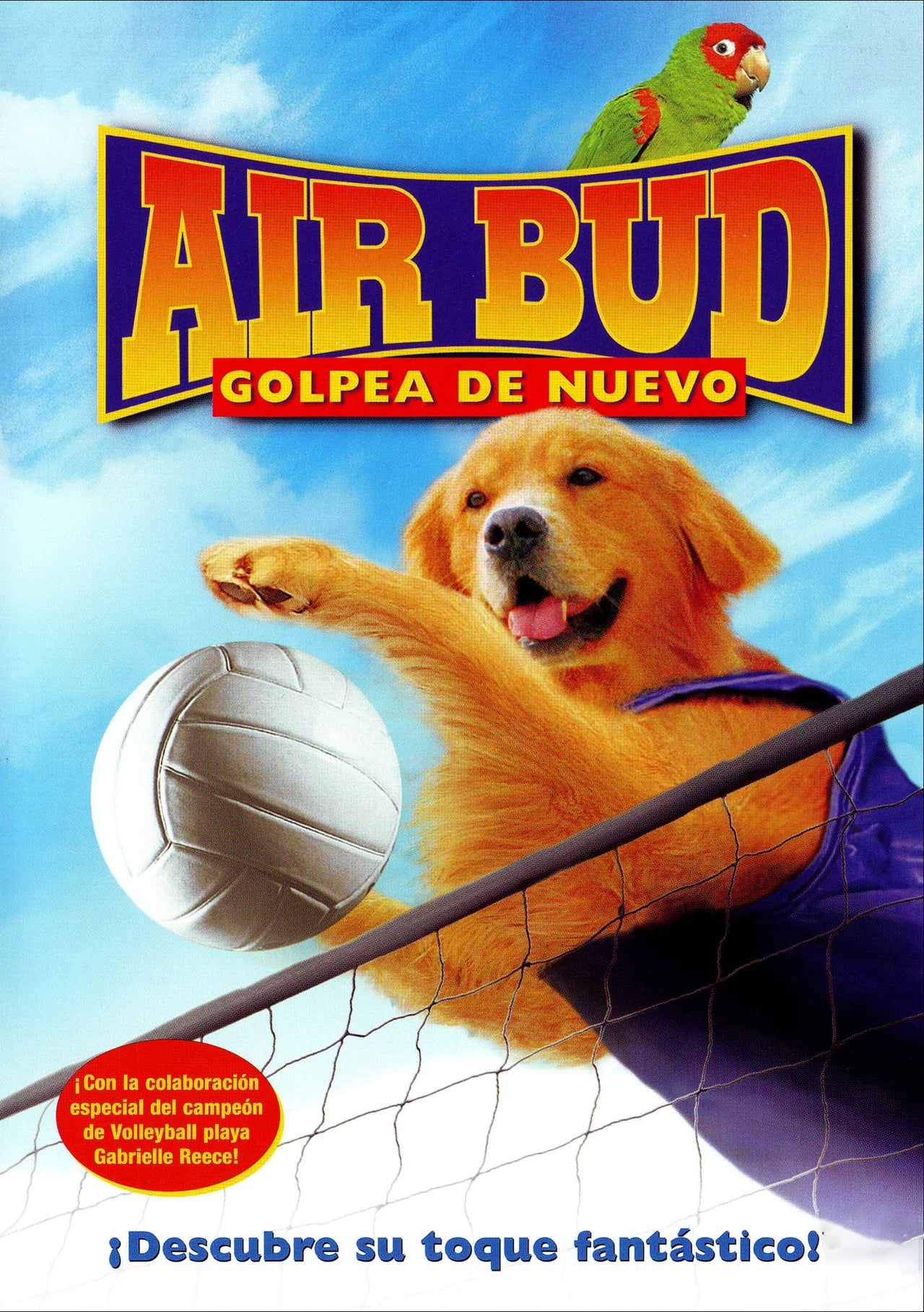 Movies Air Bud 5: Golpea de Nuevo