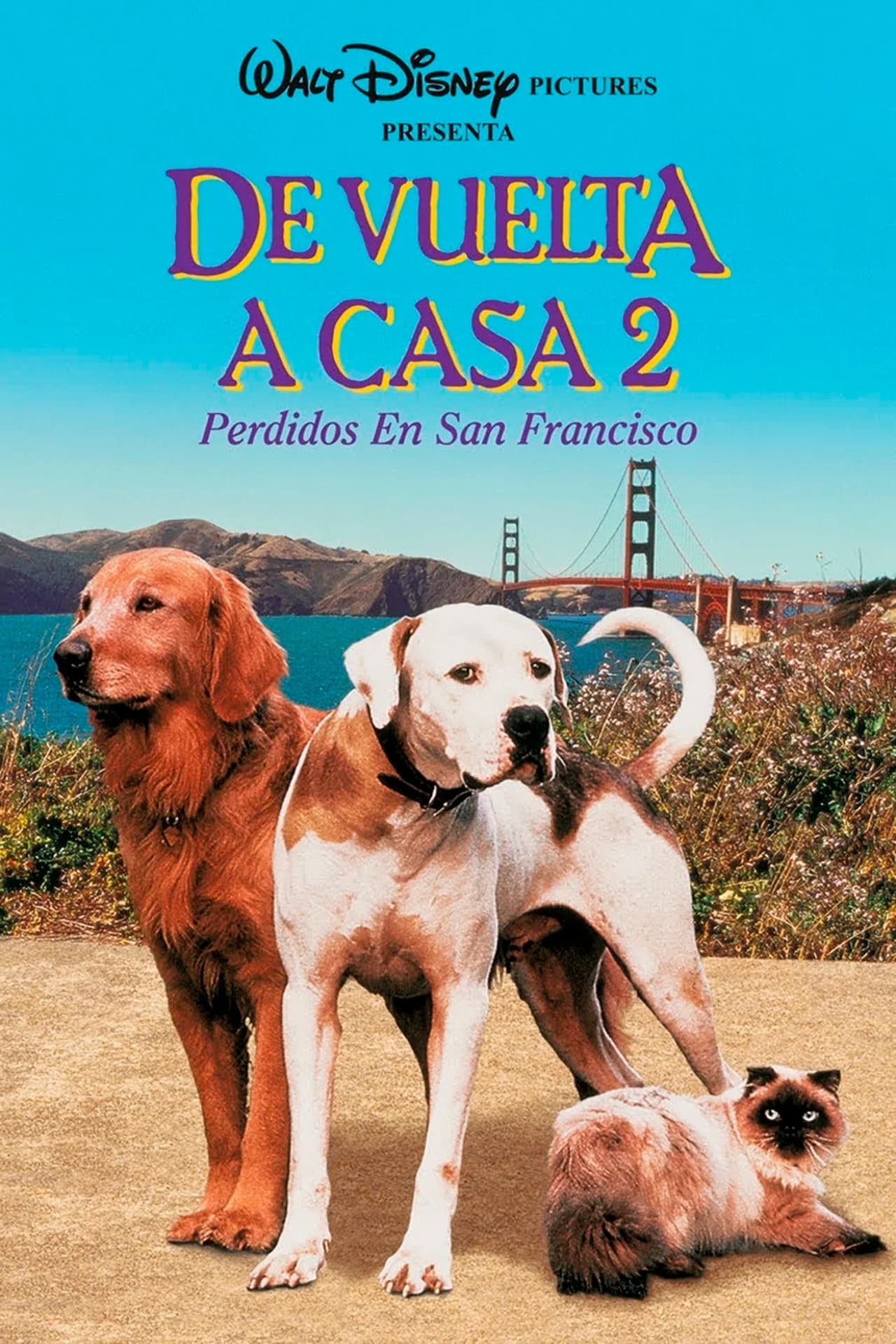 Movie De vuelta a casa 2: Perdidos en San Francisco