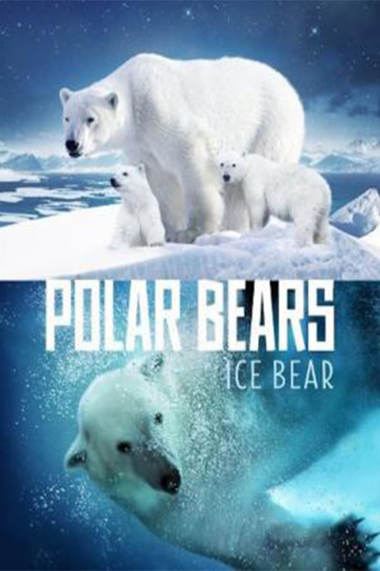 Movie Polar Bears: Ice Bear