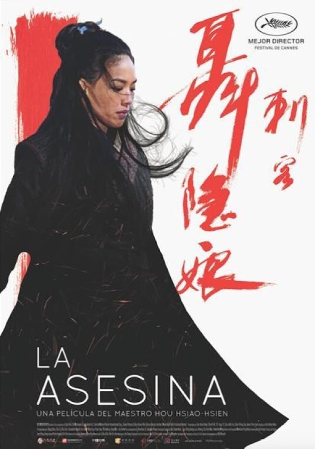 Movies The Assassin (La asesina)