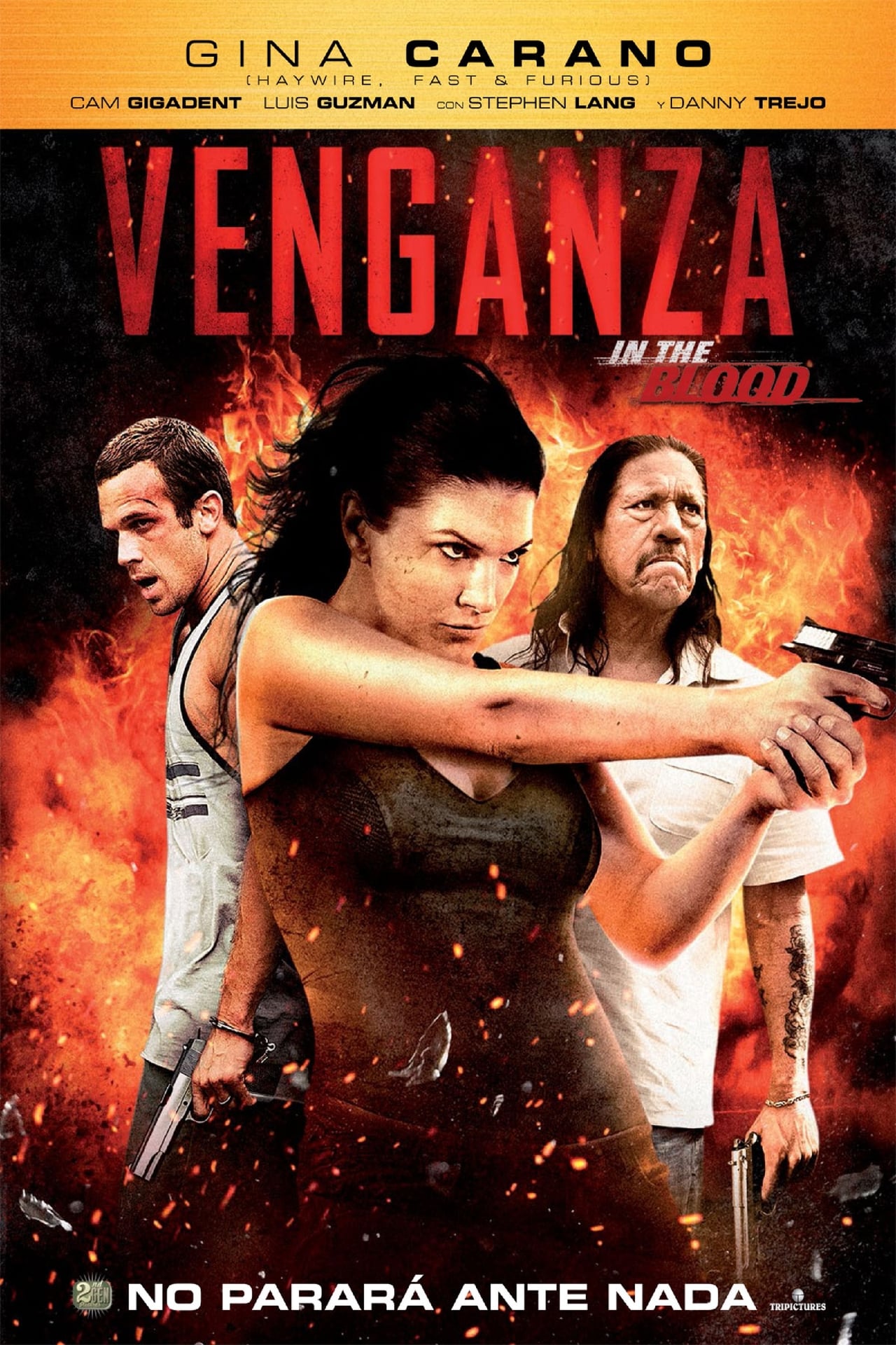 Movie Venganza (In the Blood)