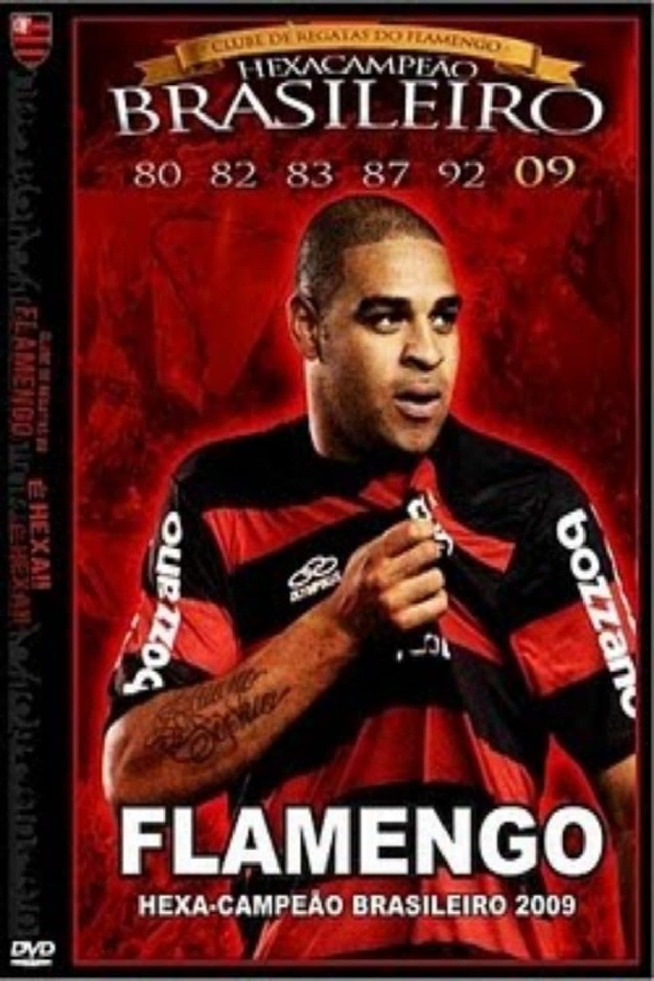 Película Flamengo: Hexa-Campeão Brasileiro 2009