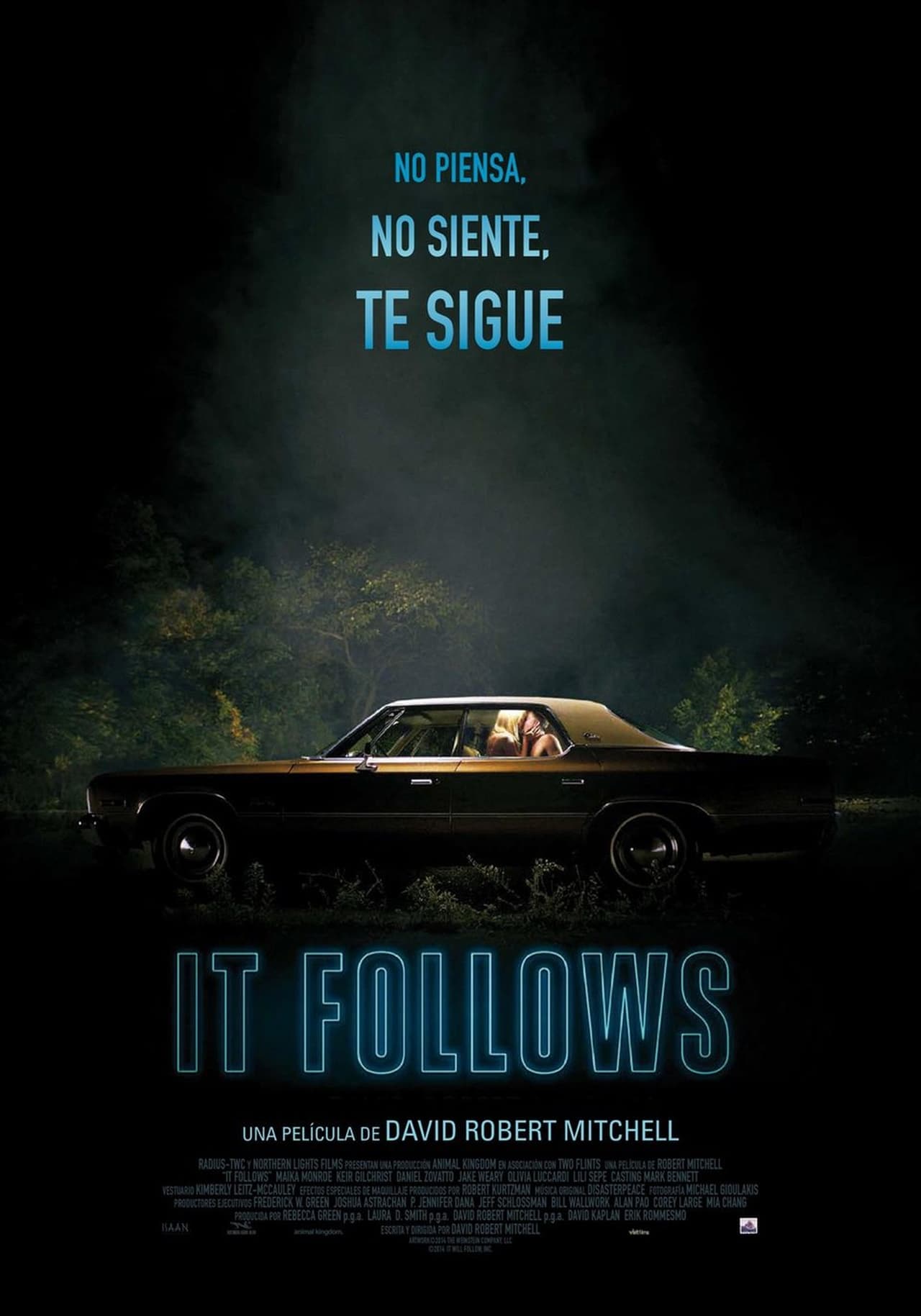 Movie It Follows