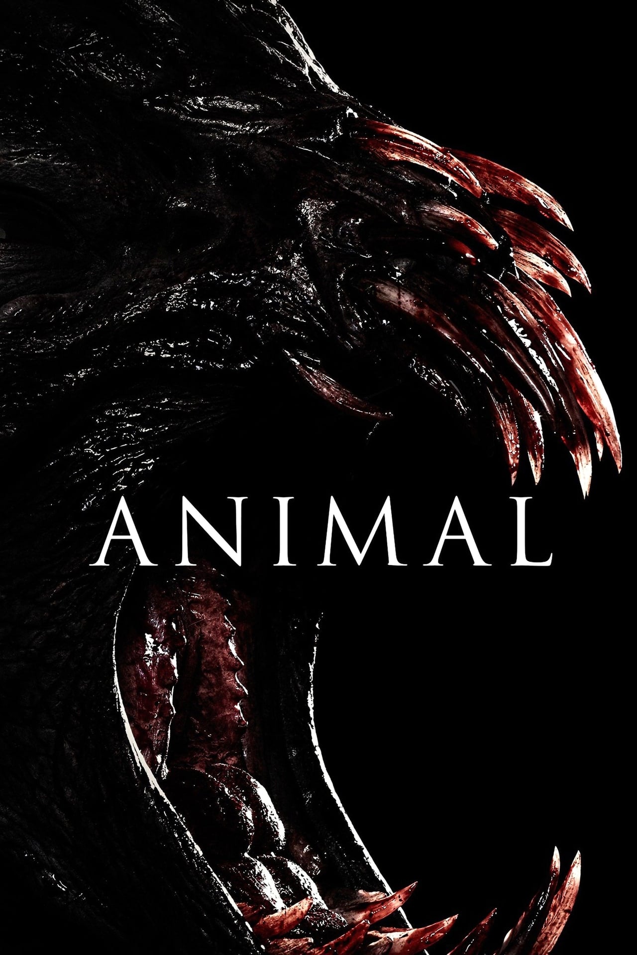 Películas Animal