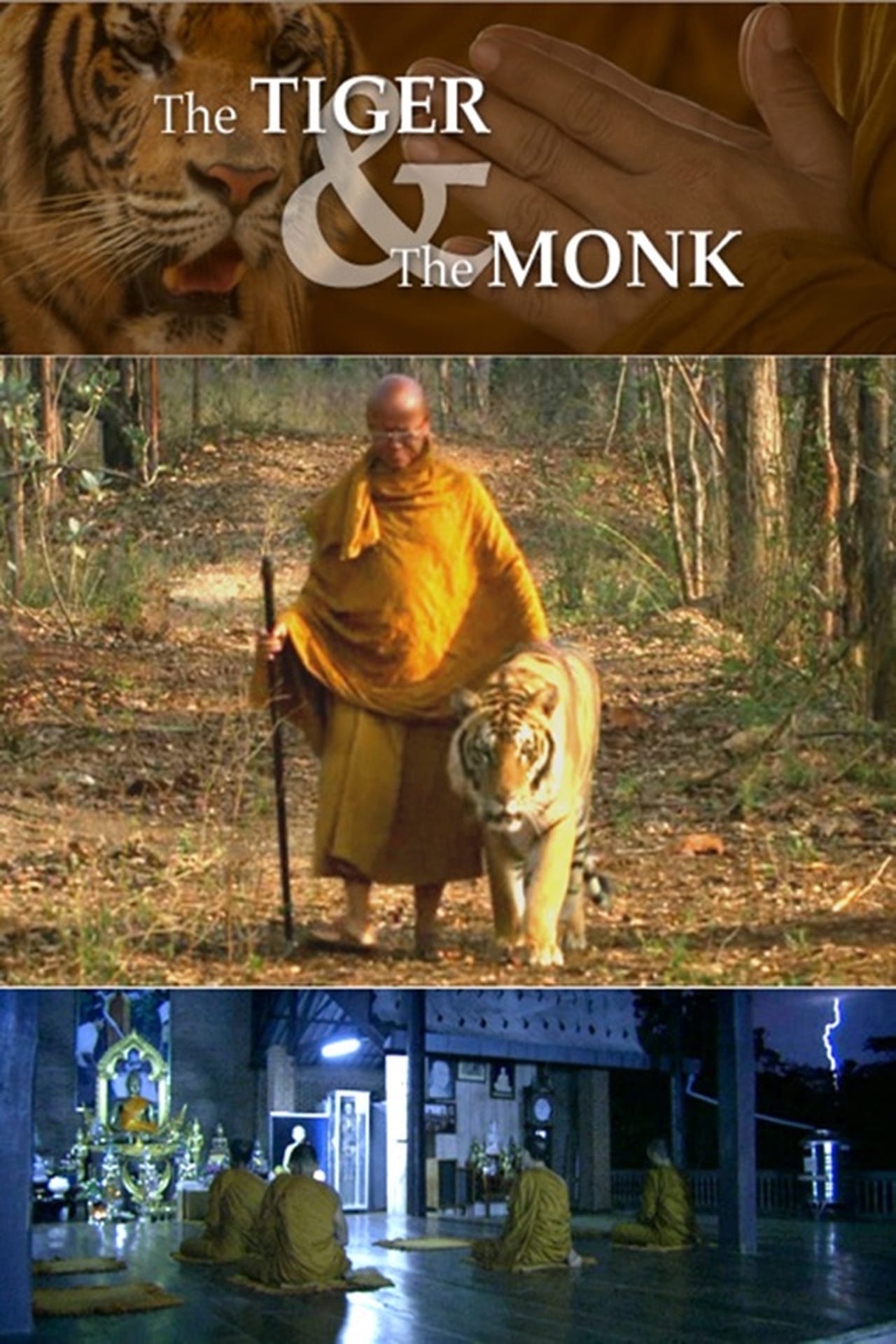 Movies The Tiger and the Monk