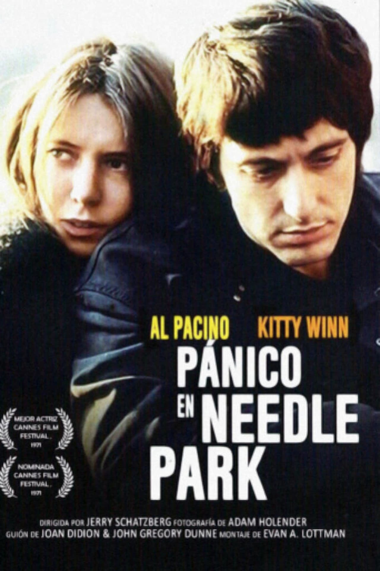 Movies Pánico en Needle Park