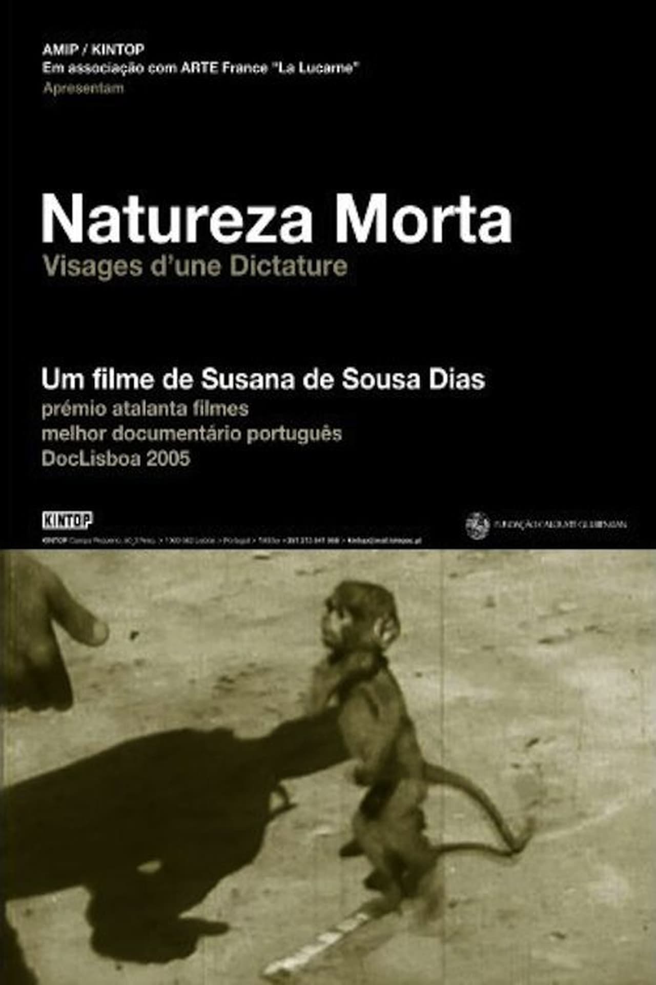 Película Natureza Morta