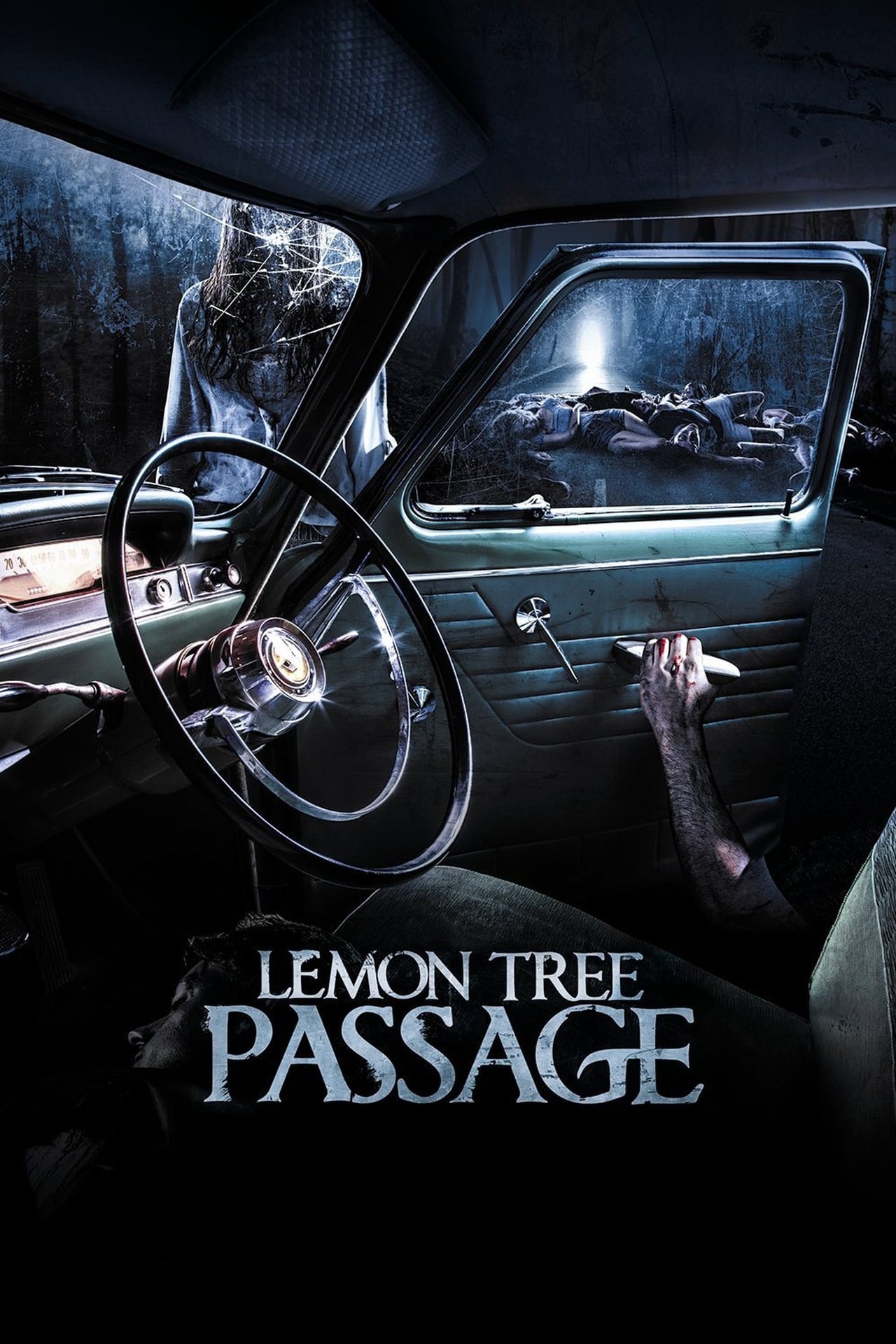 Películas Lemon Tree Passage