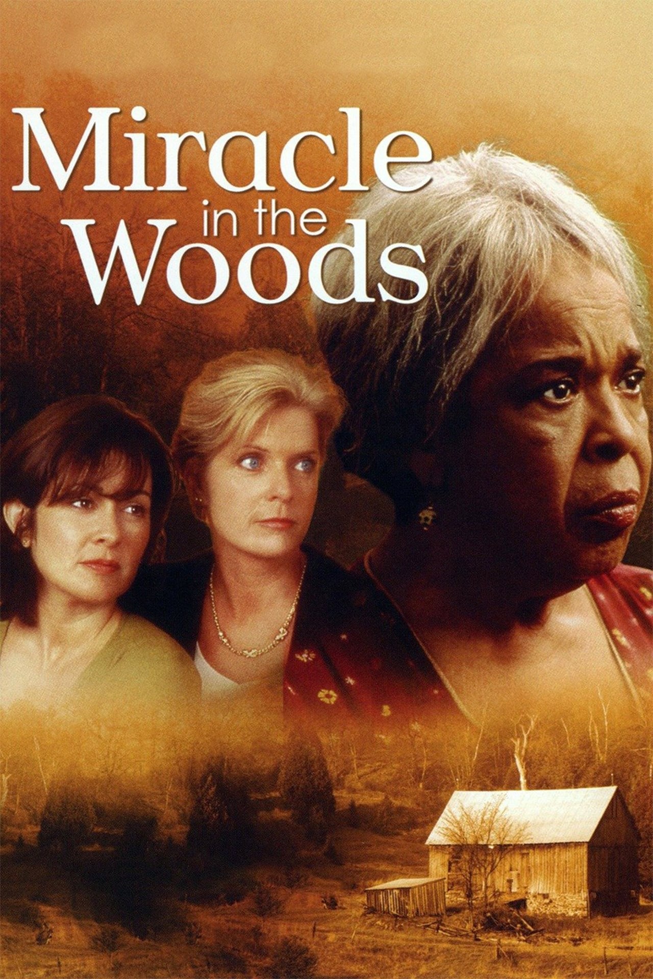 Película Miracle in the Woods