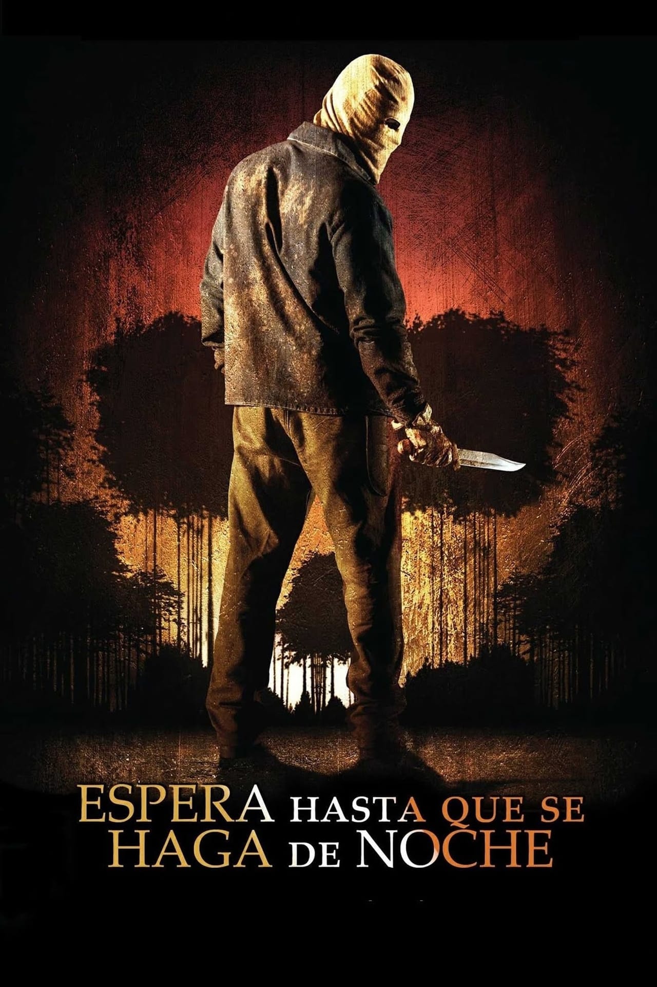 Movie Espera hasta que se haga de noche