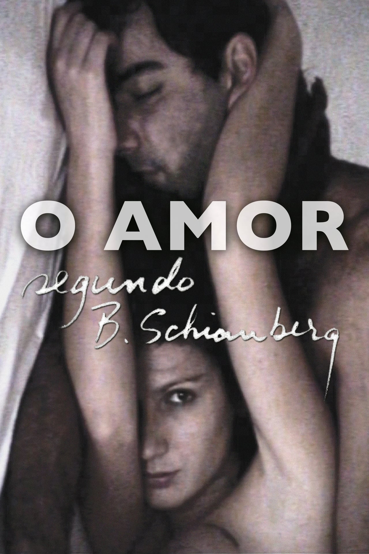 Películas O Amor Segundo B. Schianberg