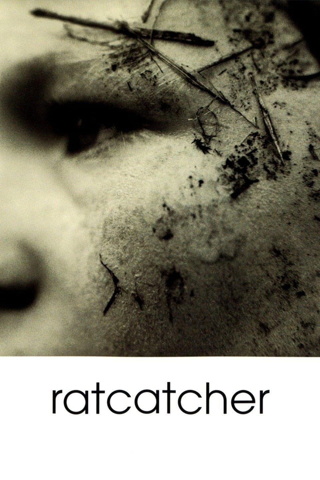 Películas Ratcatcher